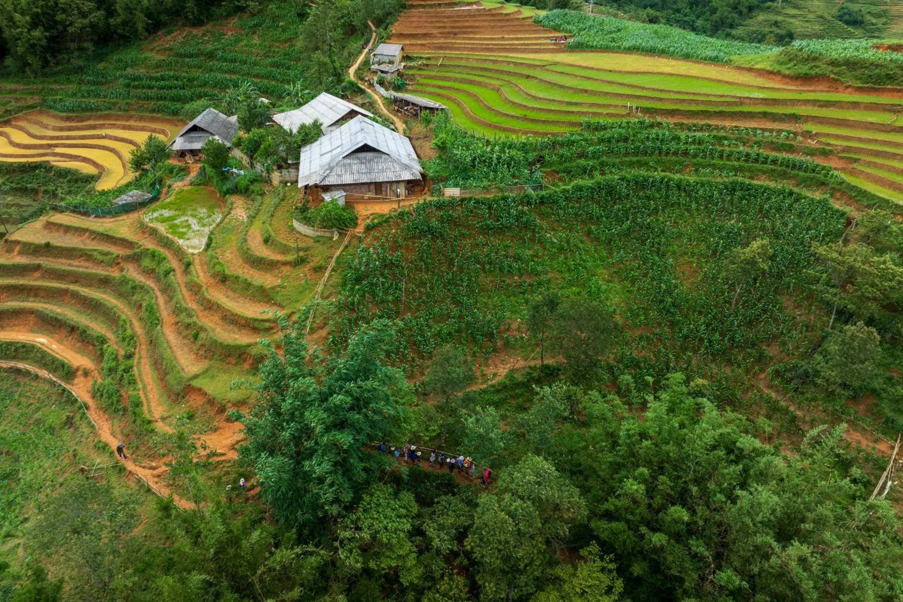 Sapa Farmstay