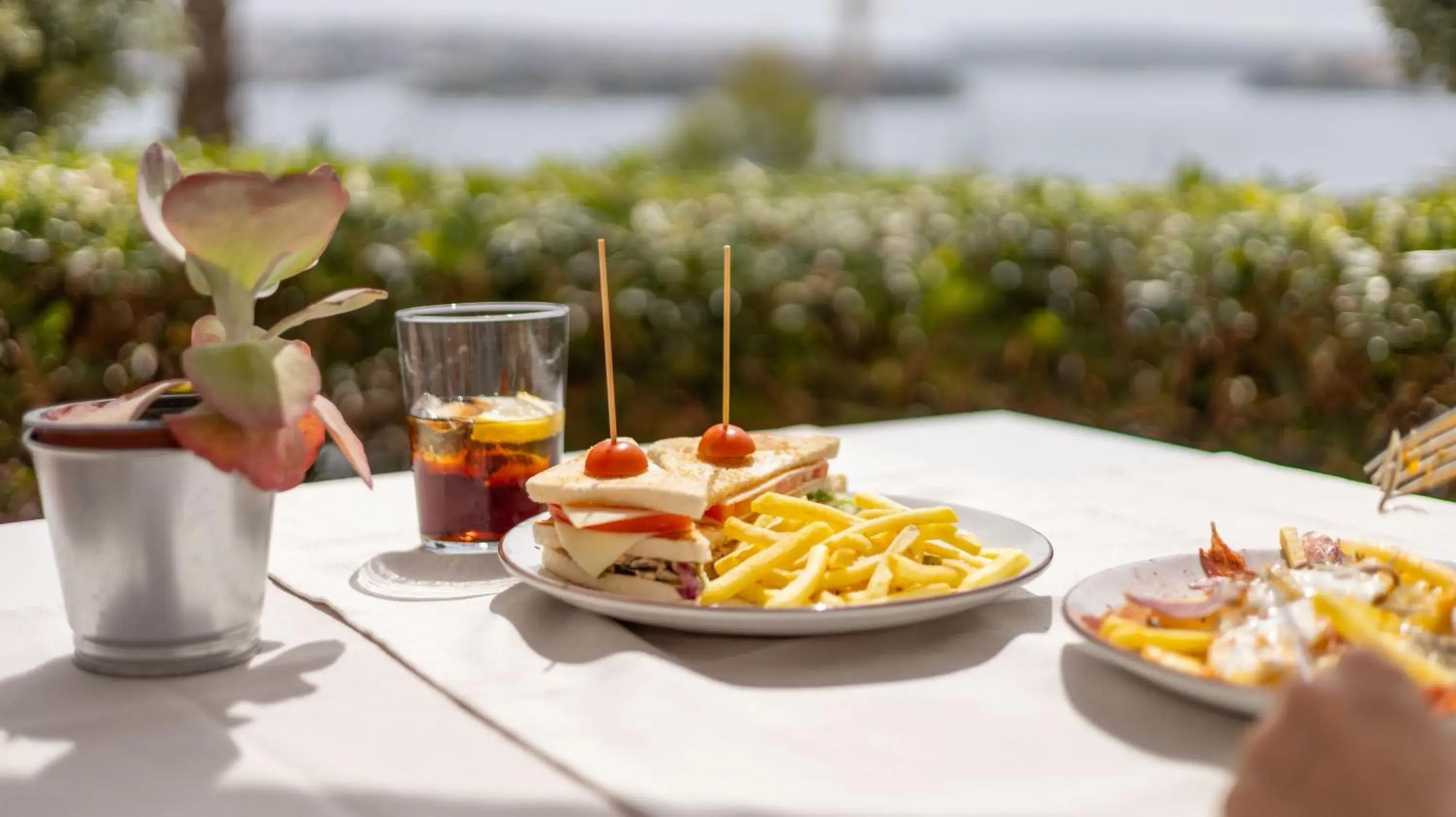 Restaurant/places to eat in Seth Port Mahón Restaurant/places to eat in Seth Port Mahón