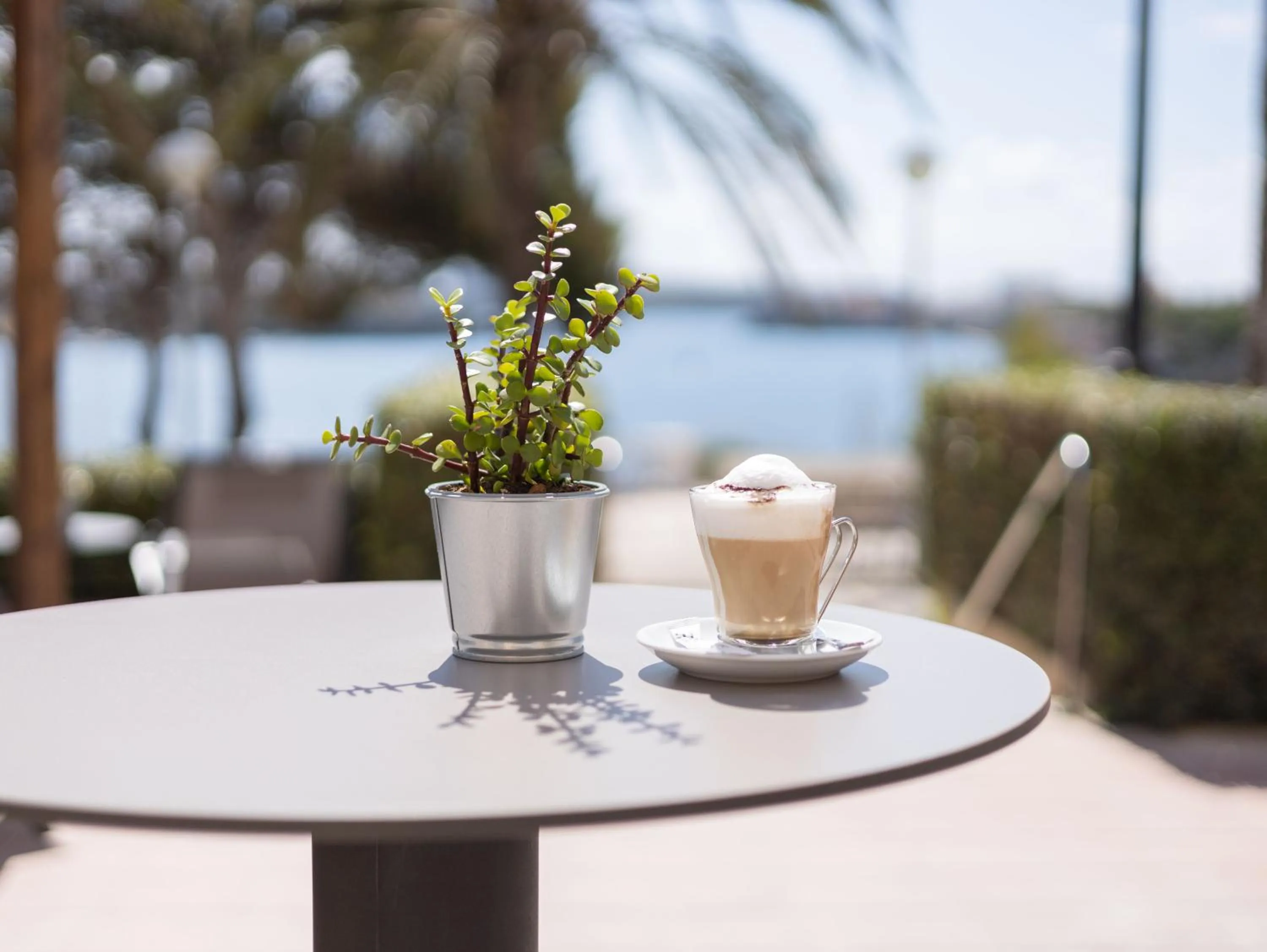 Lounge or bar in Seth Port Mahón