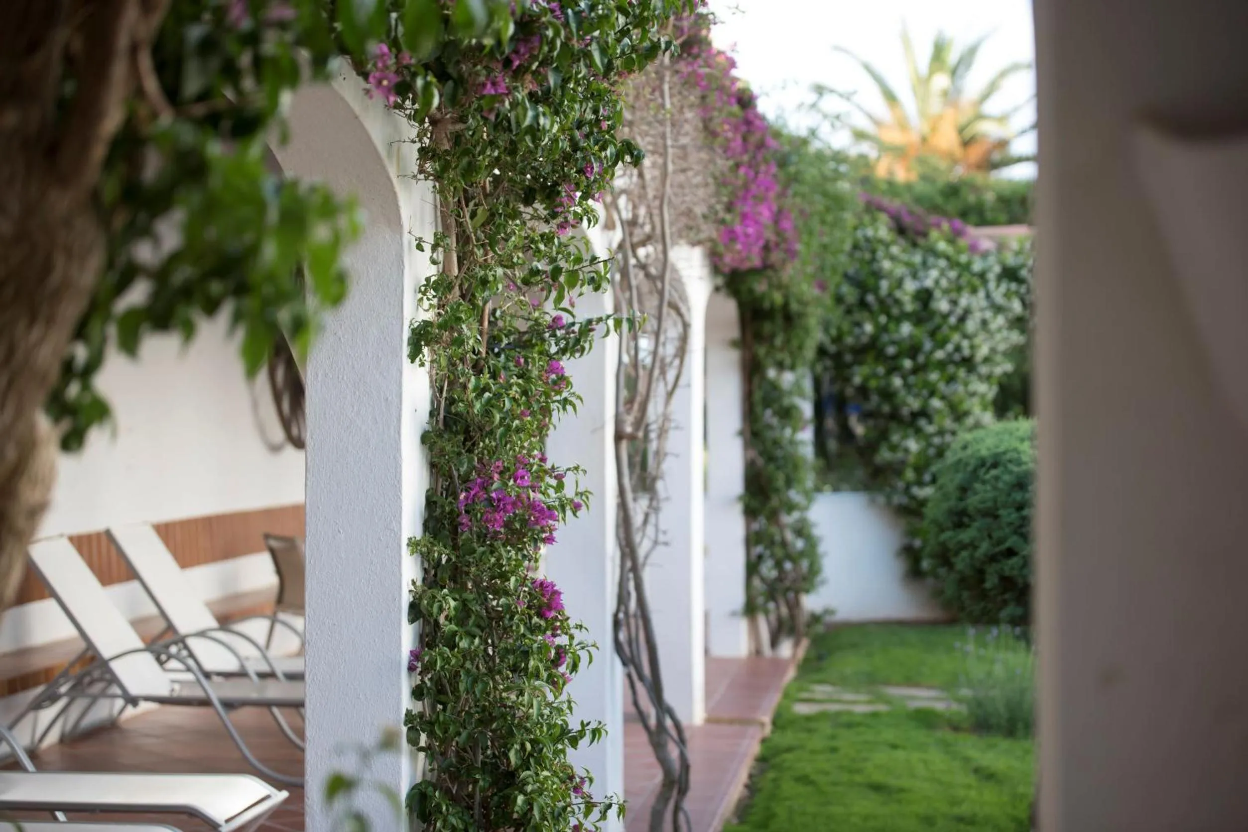 Garden in Seth Agamenon