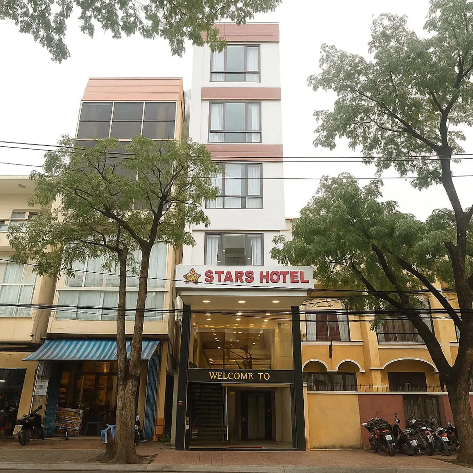 Property building in Stars Central Danang Property building in Stars Central Danang