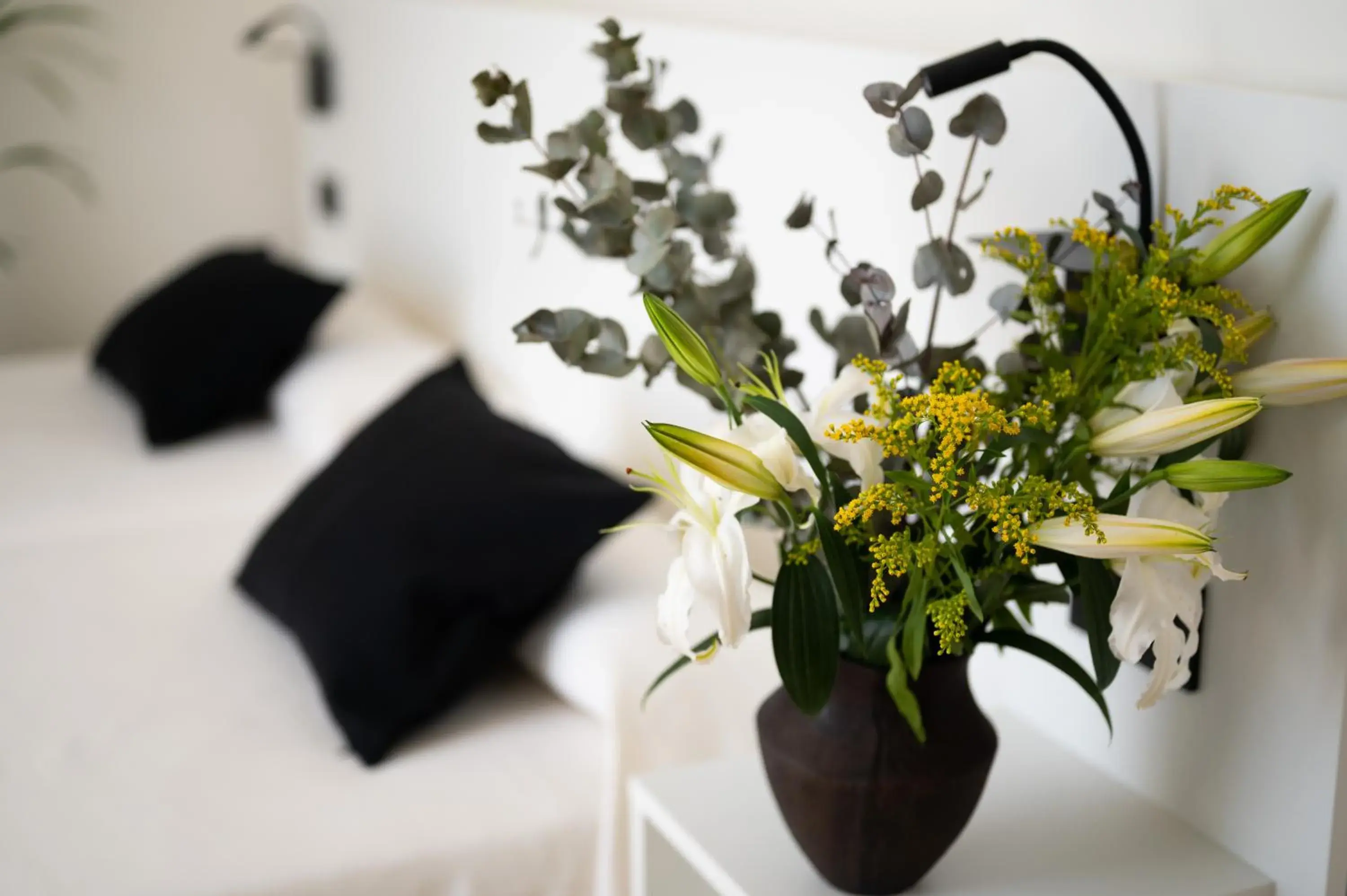 Playas de Liencres - Hotel & Apartamentos Playas de Liencres - Hotel & Apartamentos