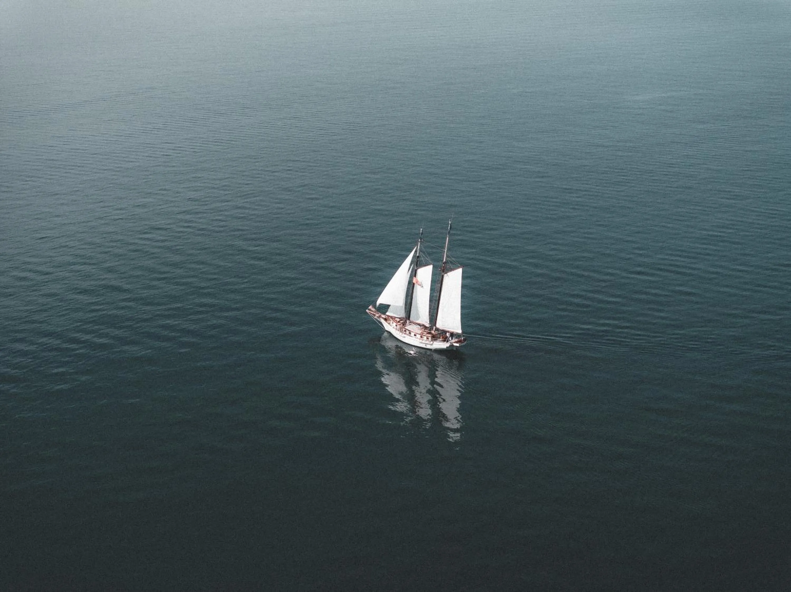 Activities in Cape of Senses