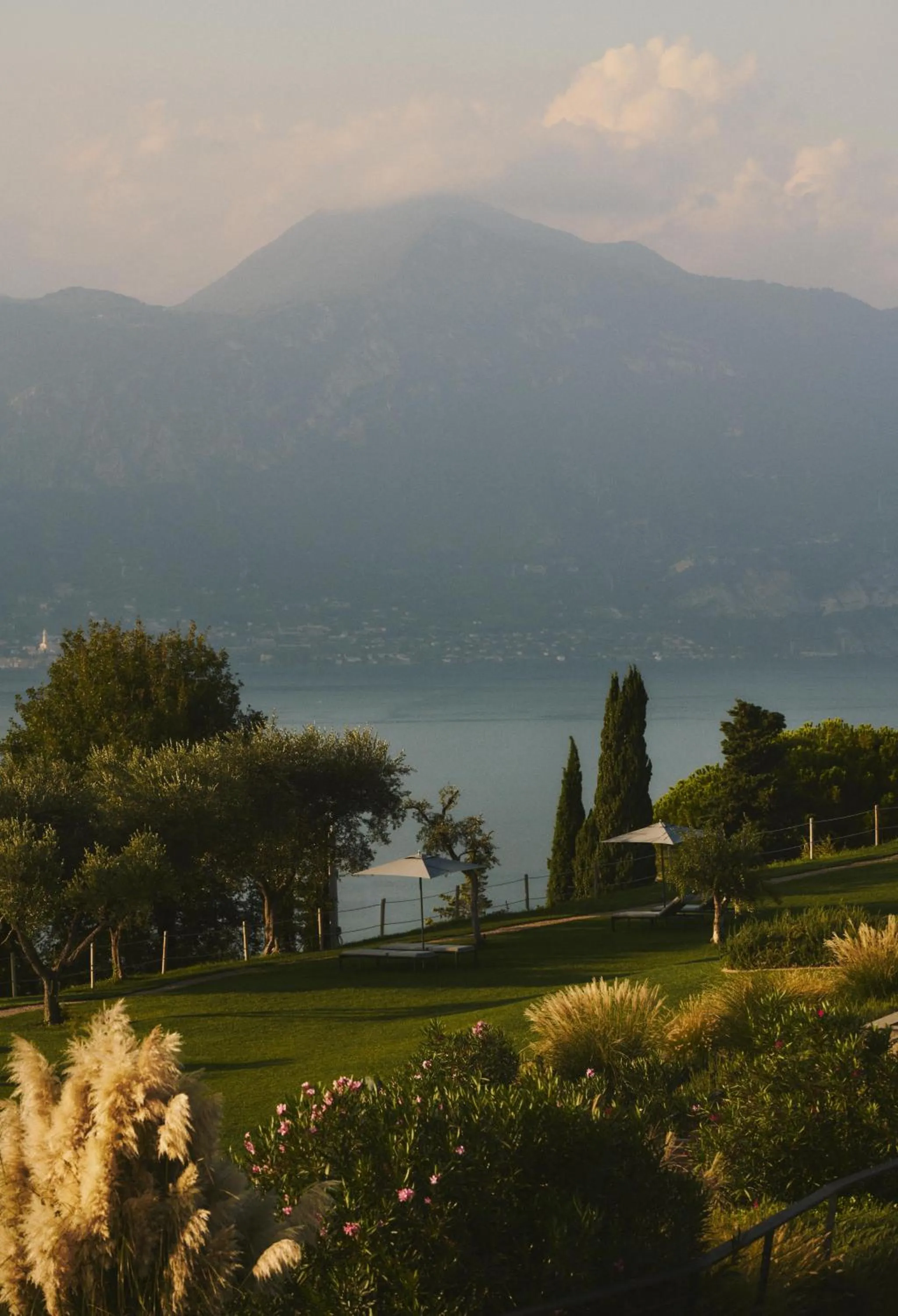 Garden in Cape of Senses