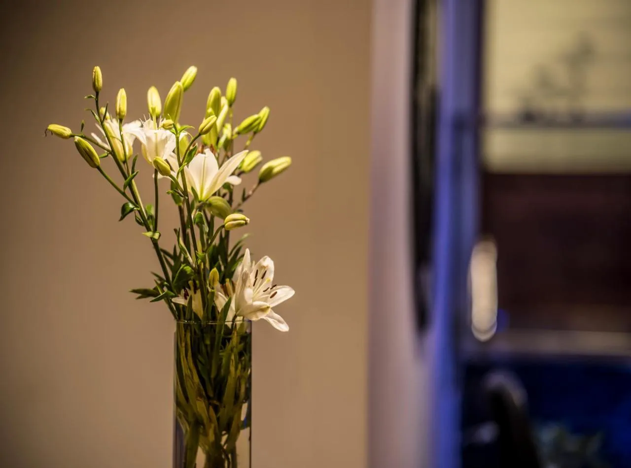 Decorative detail in WILD AVENUE RESORT & SPA