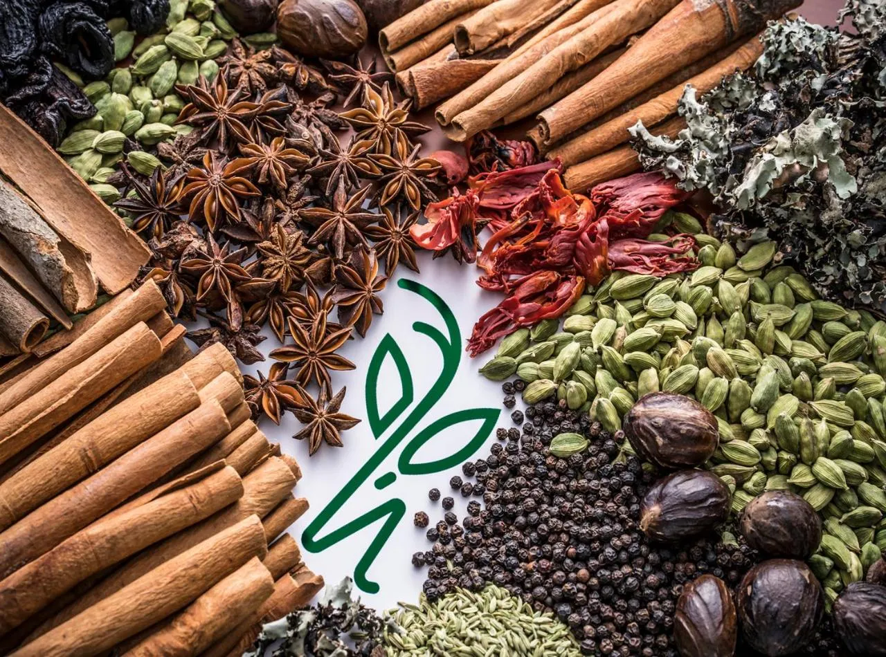 Decorative detail in WILD AVENUE RESORT & SPA