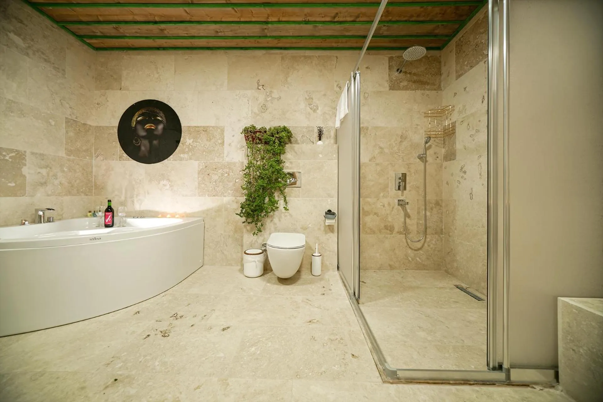 Shower in Serene Premium Stone House