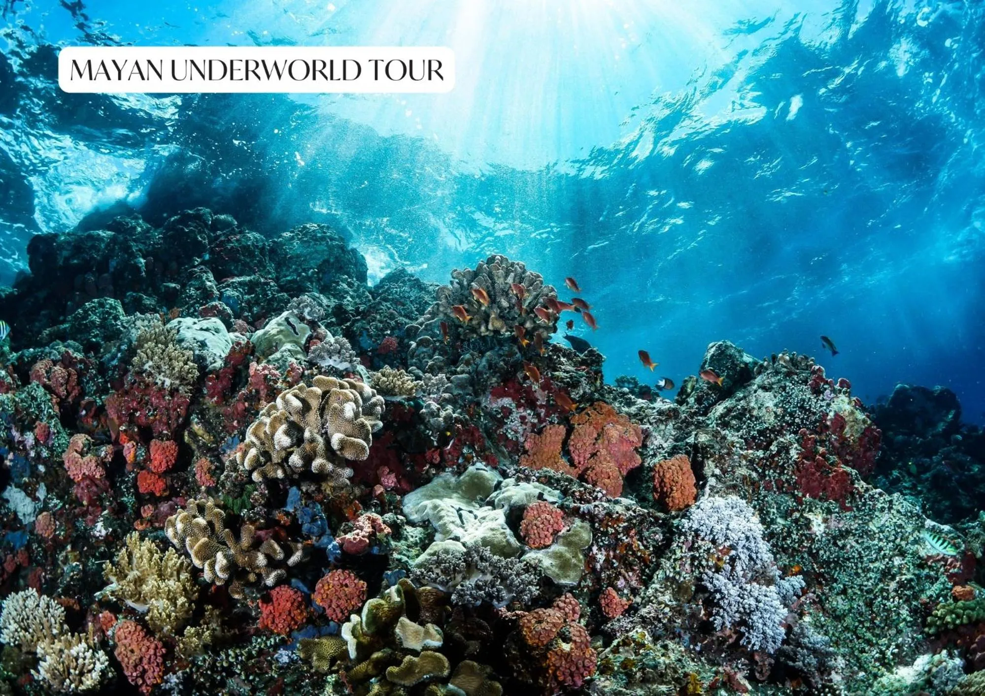 Activities in Best Penthouse with Private Pool in Aldea Zama