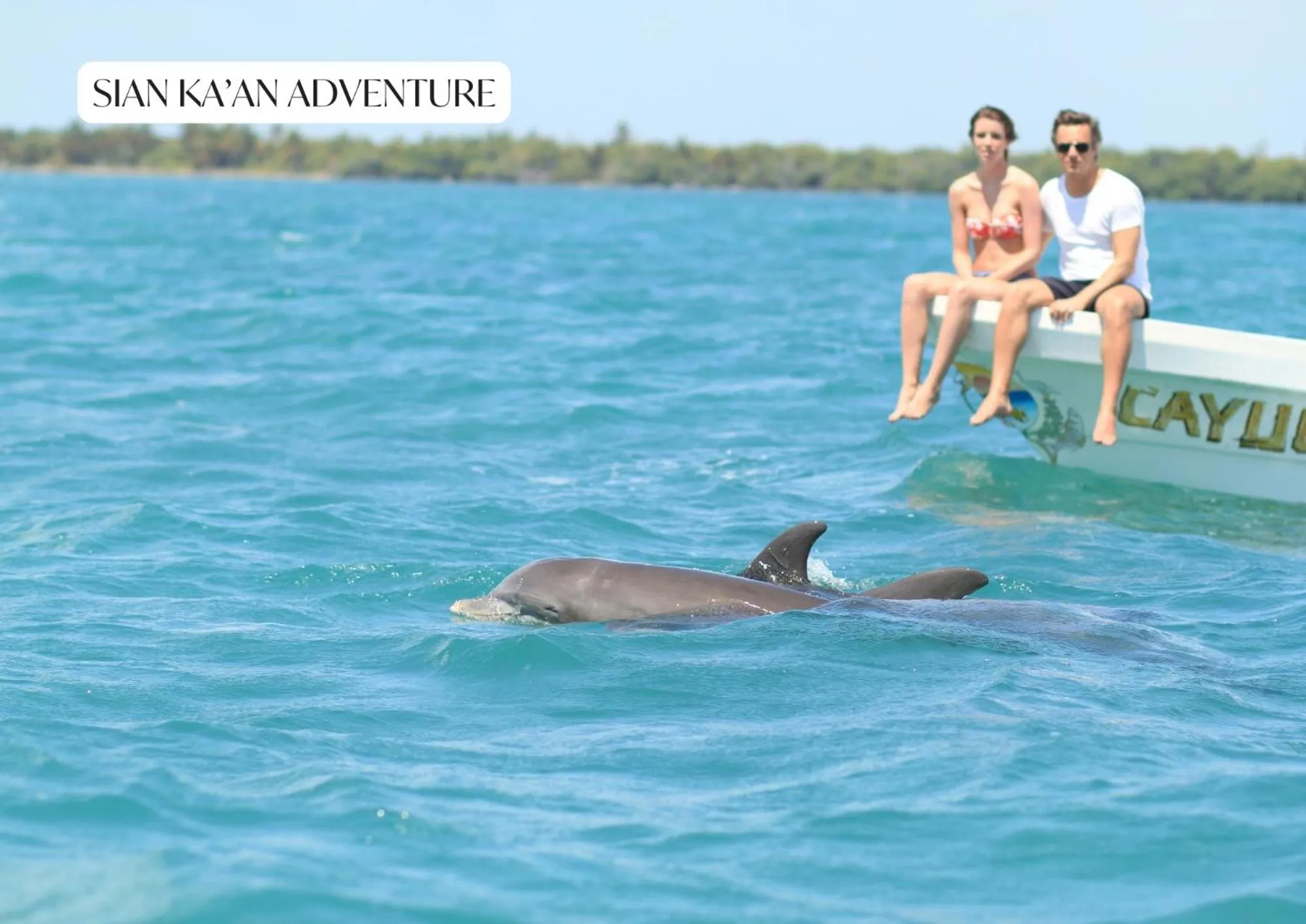 Activities in Best Penthouse with Private Pool in Aldea Zama