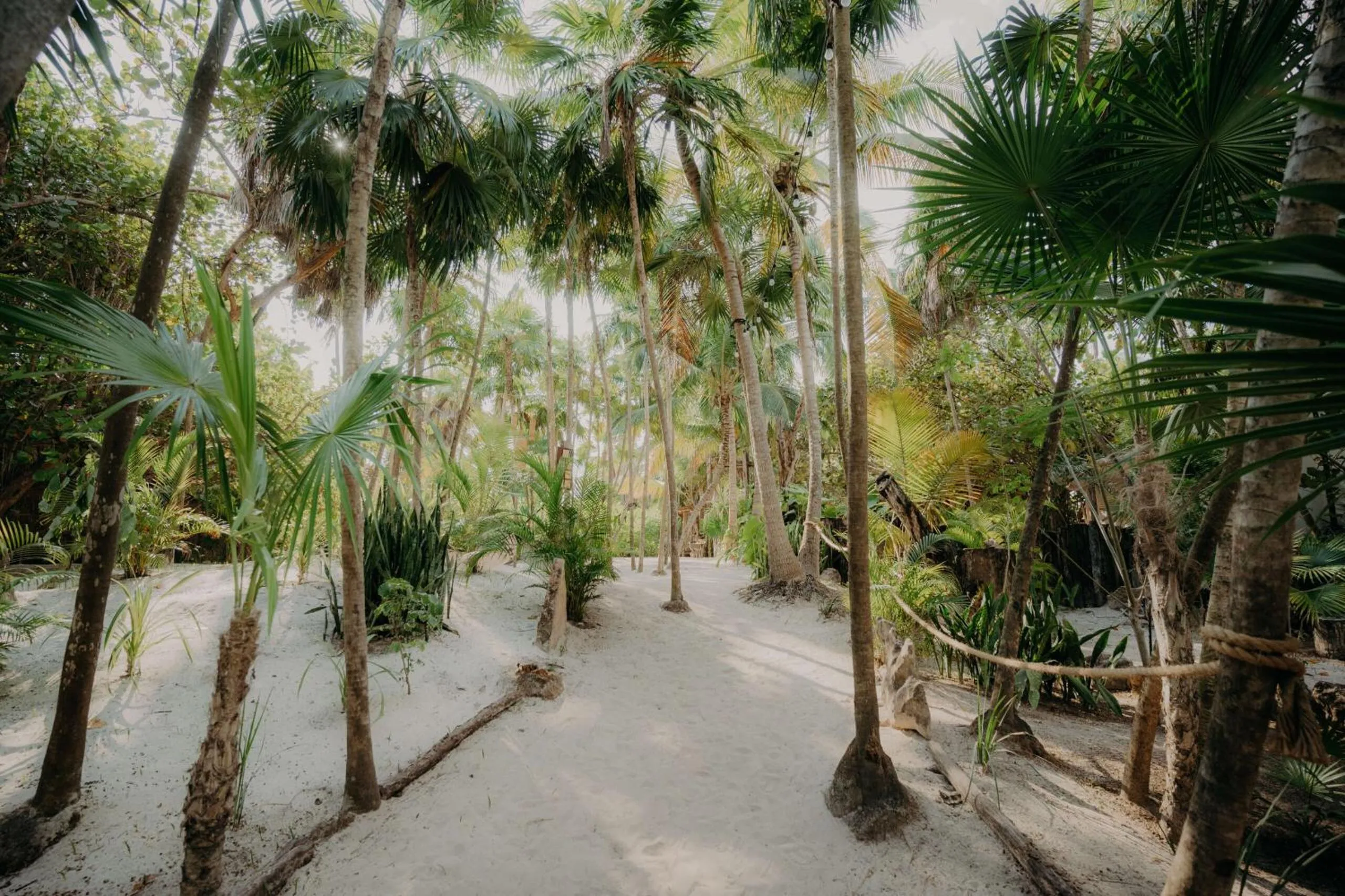 Beach in Best Penthouse with Private Pool in Aldea Zama