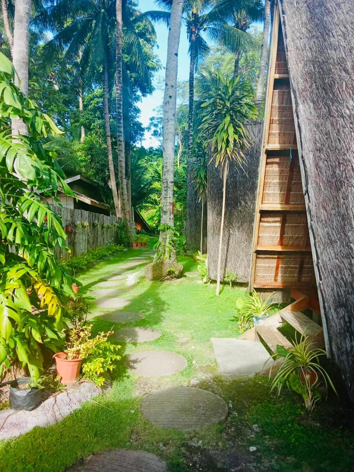 Garden view in Hola Beach Resort