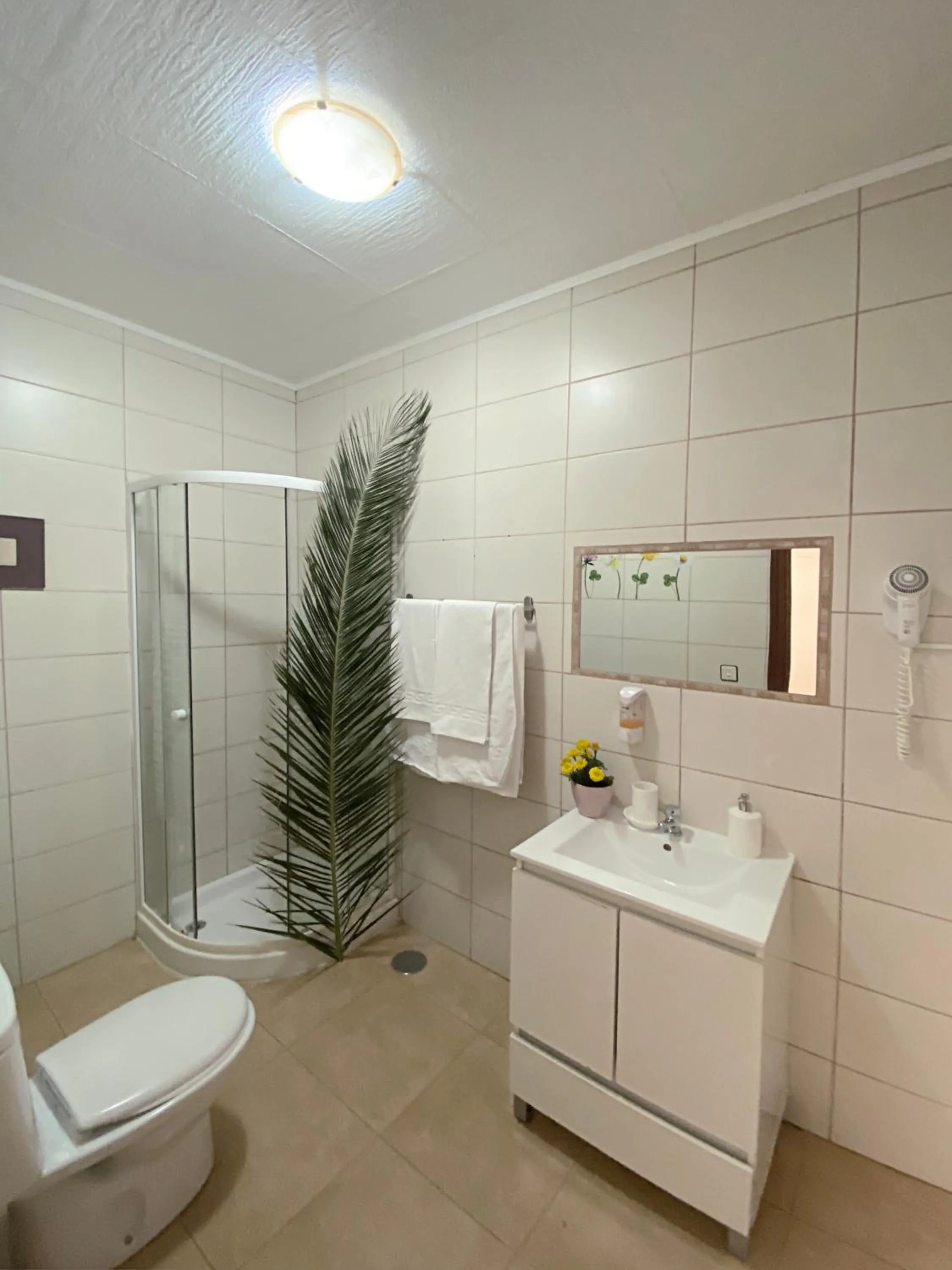 Bathroom in Hostal Azahara