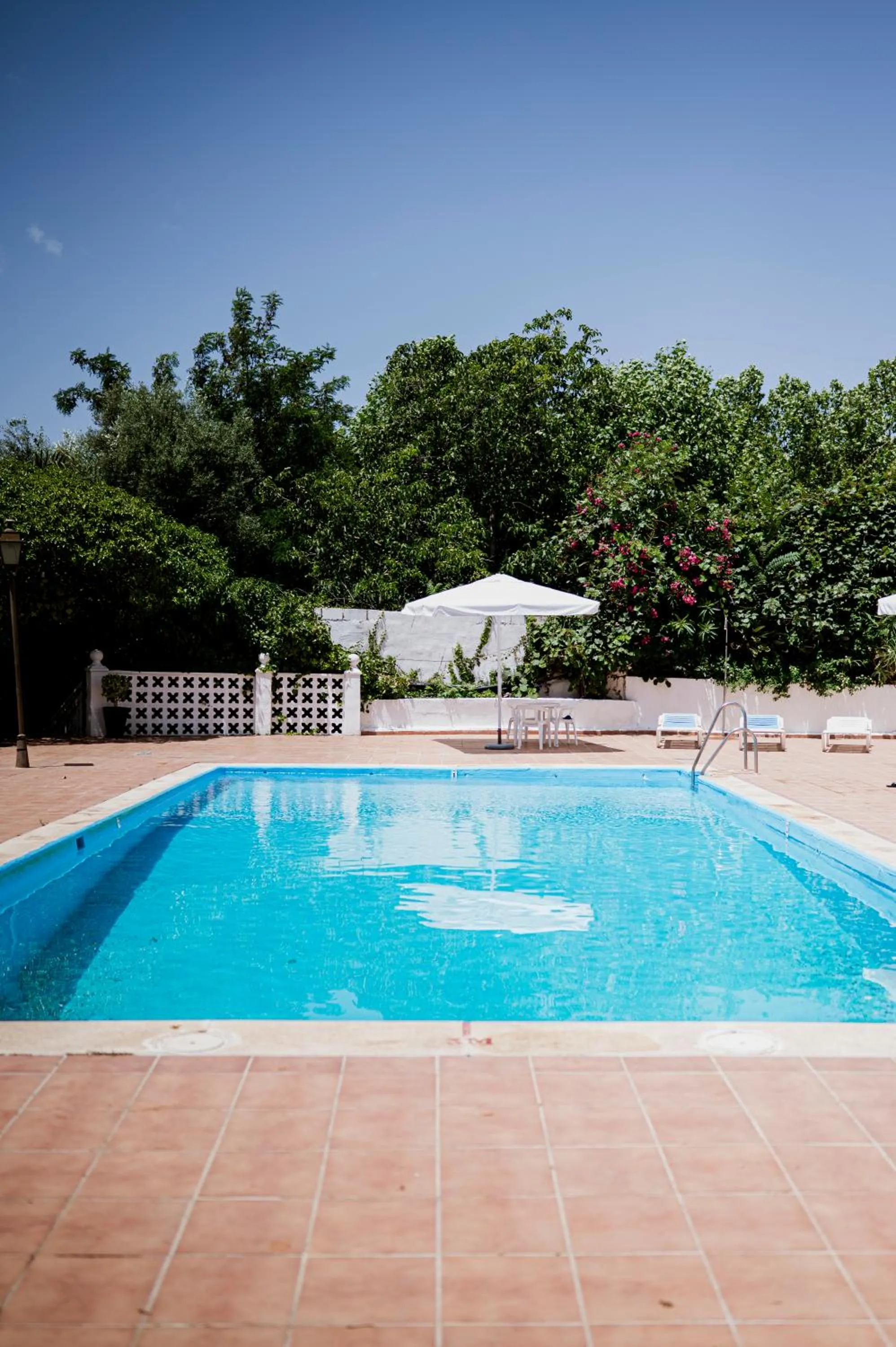 Swimming pool in Hotel España