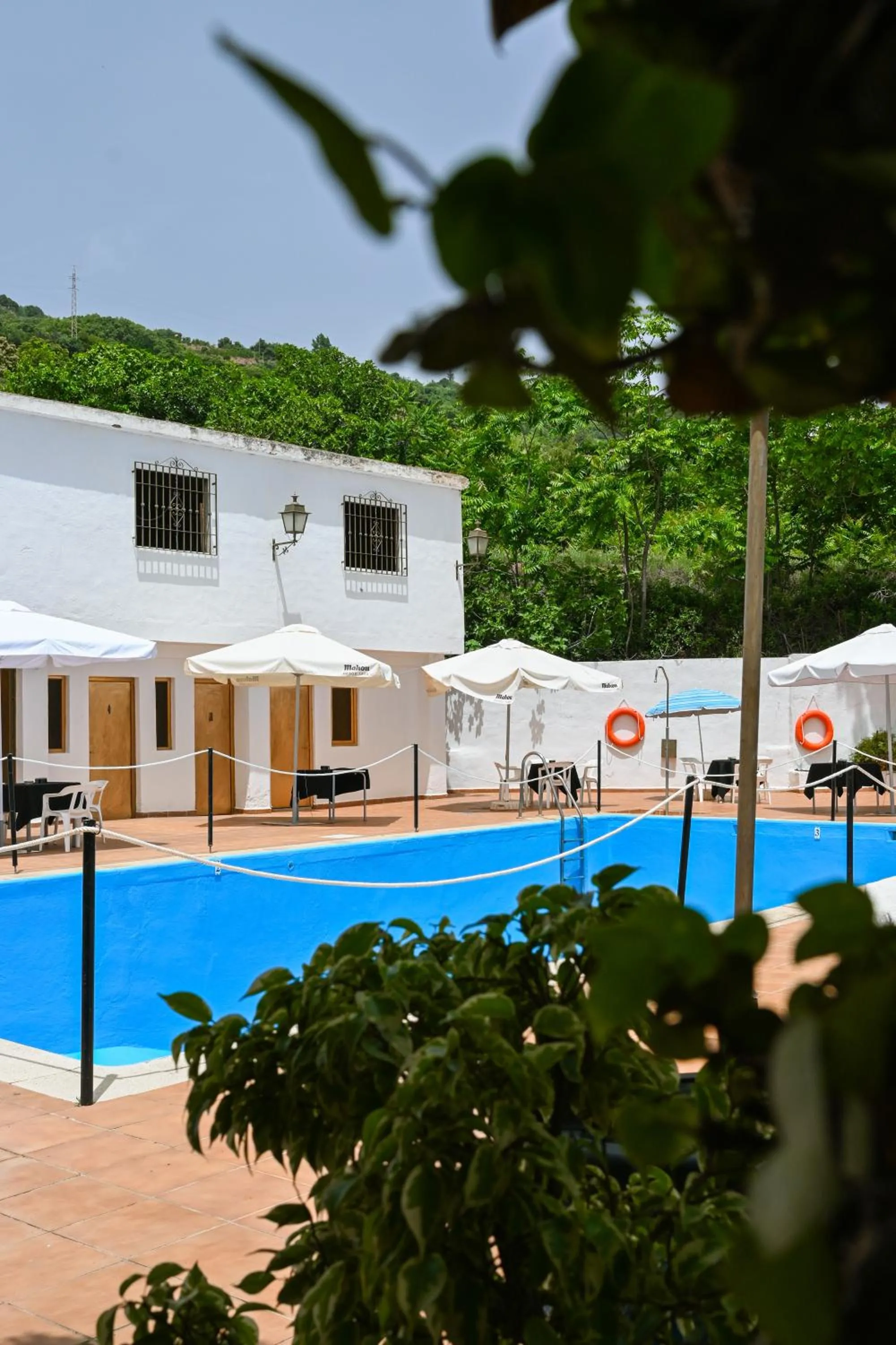 Swimming pool in Hotel España