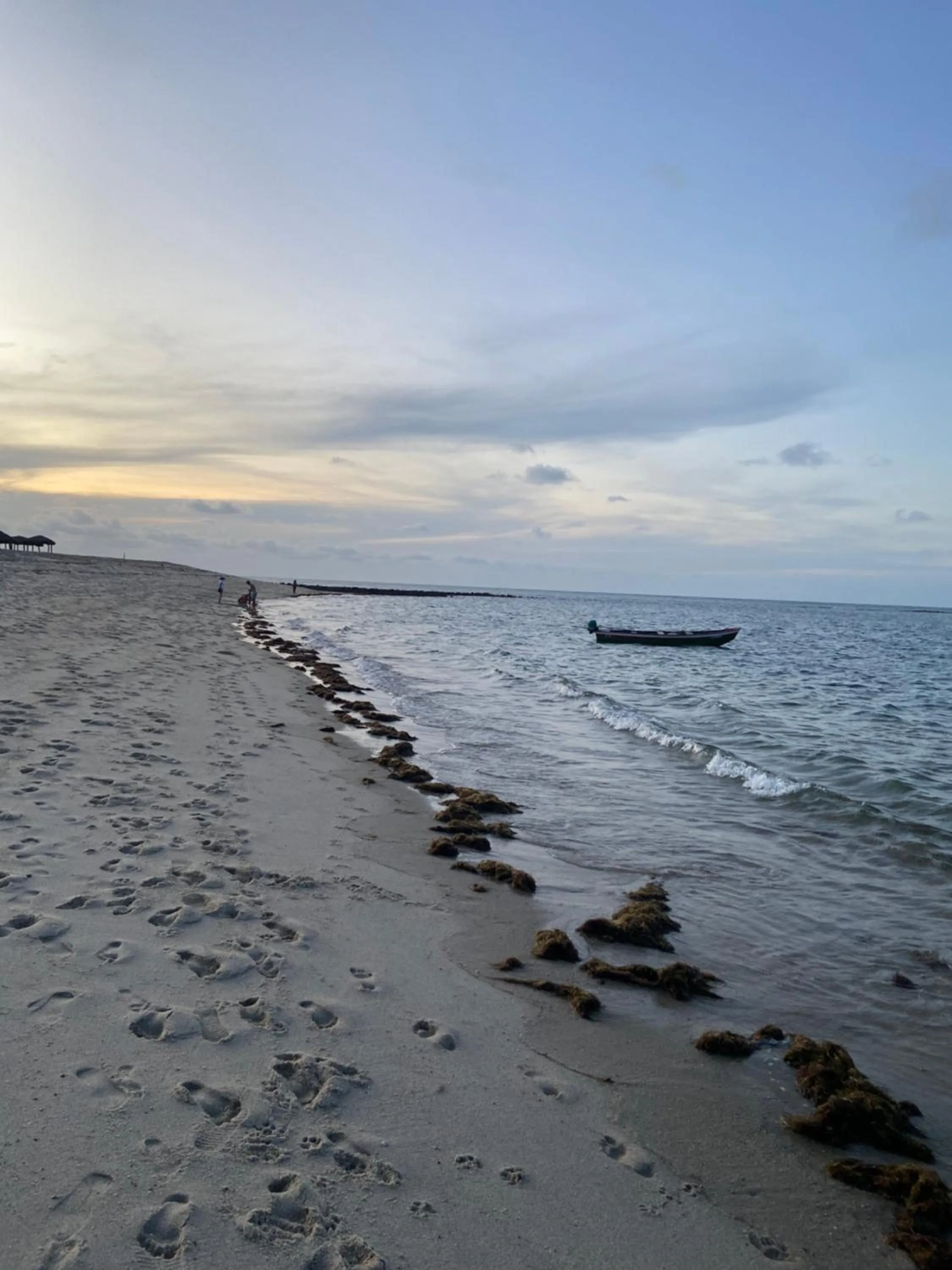 Amoreira Pousada em Barra Grande Piaui