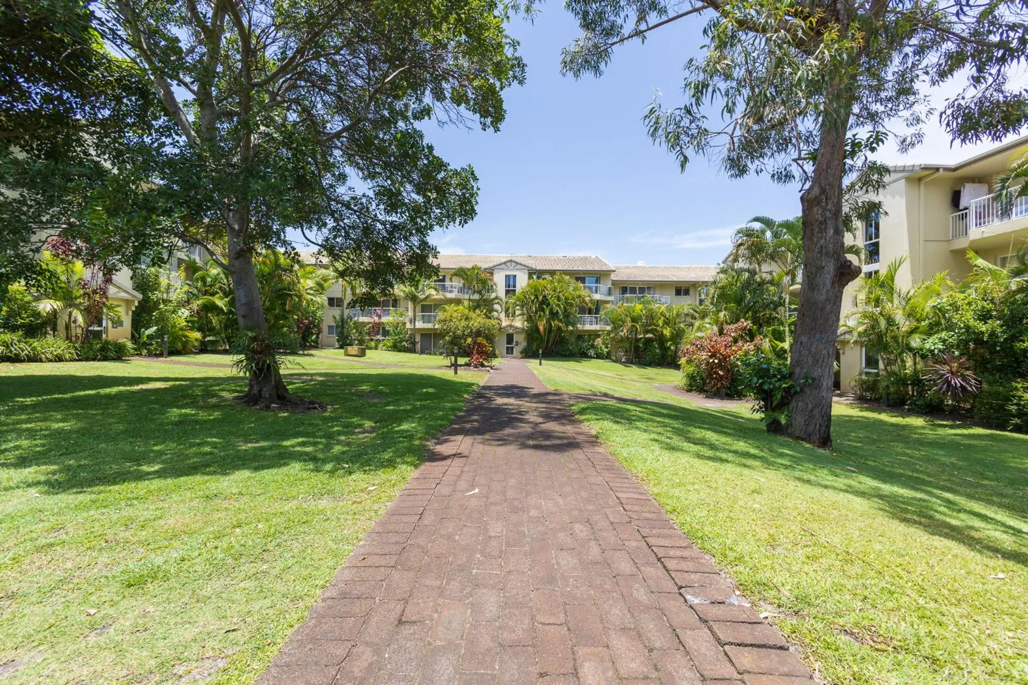 Garden view in Paradise Grove Holiday Apartments