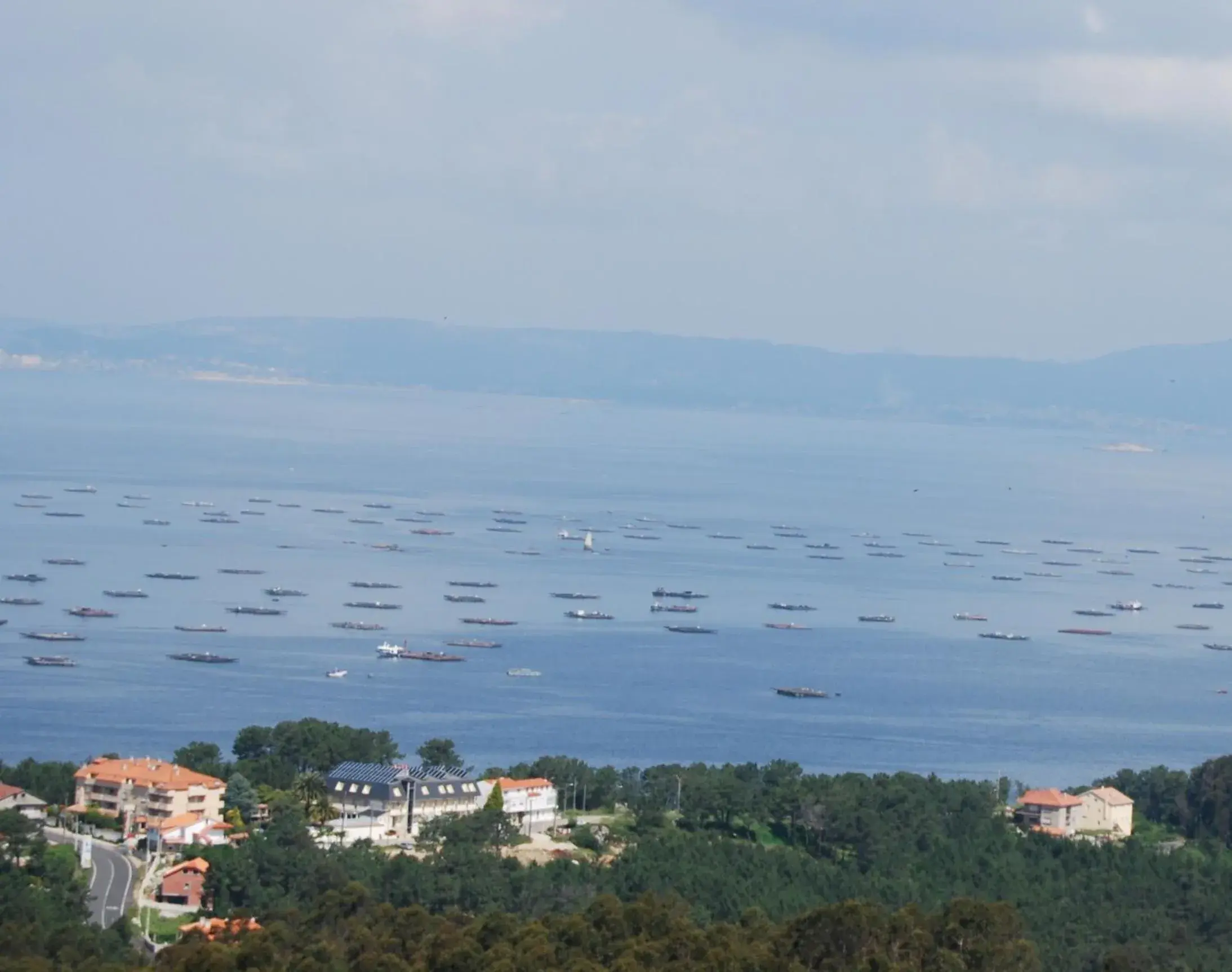 View (from property/room) in Hotel Spa Bosque mar View (from property/room) in Hotel Spa Bosque mar