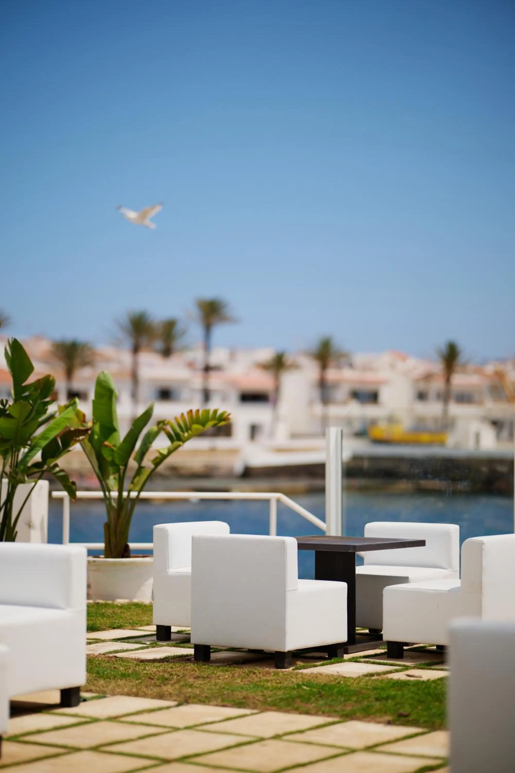 Swimming pool in AluaSoul Menorca - Adults Only