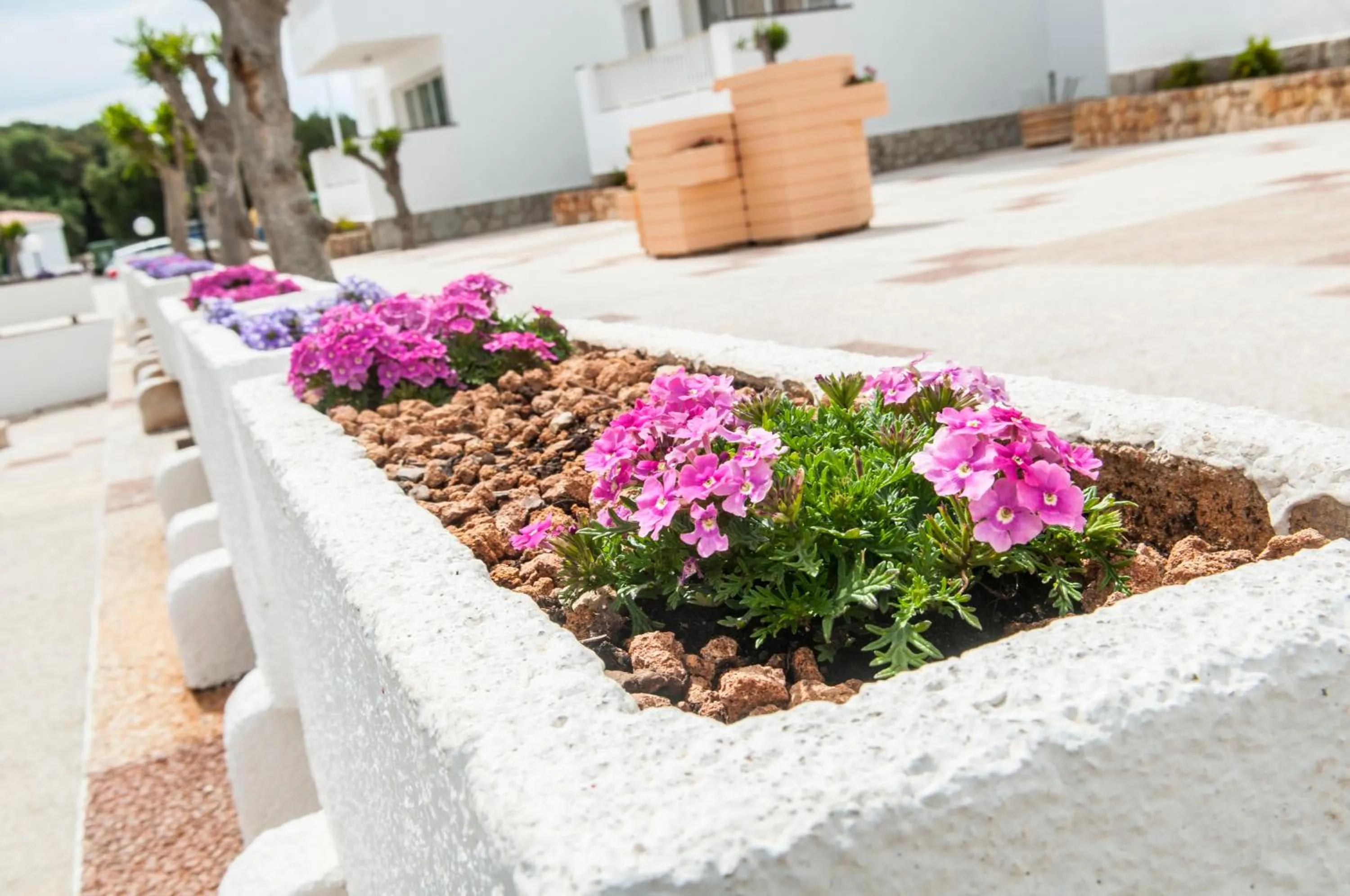 Other in Naranjos Resort Menorca