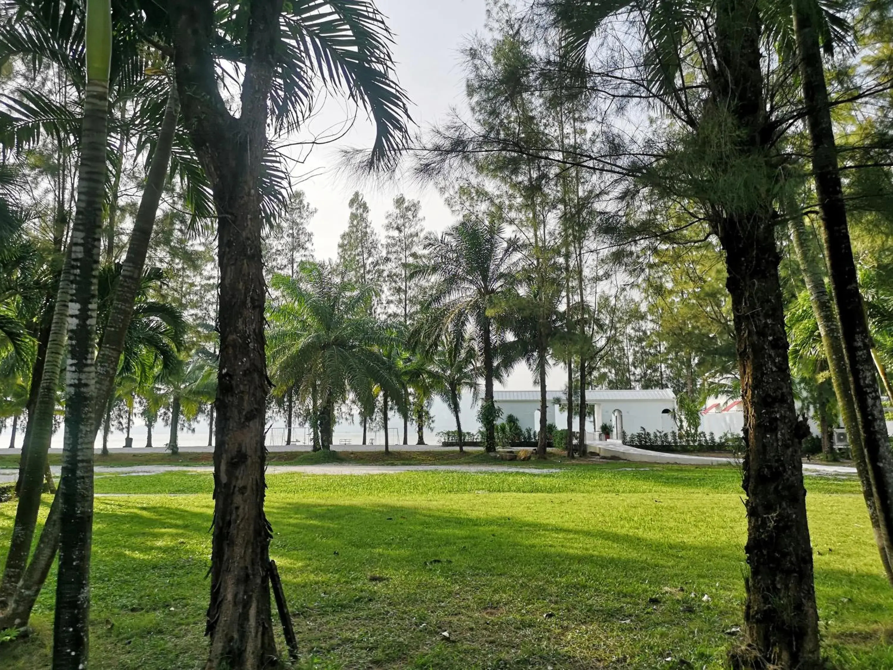 Garden in Mrs. Swan Hotel Garden in Mrs. Swan Hotel