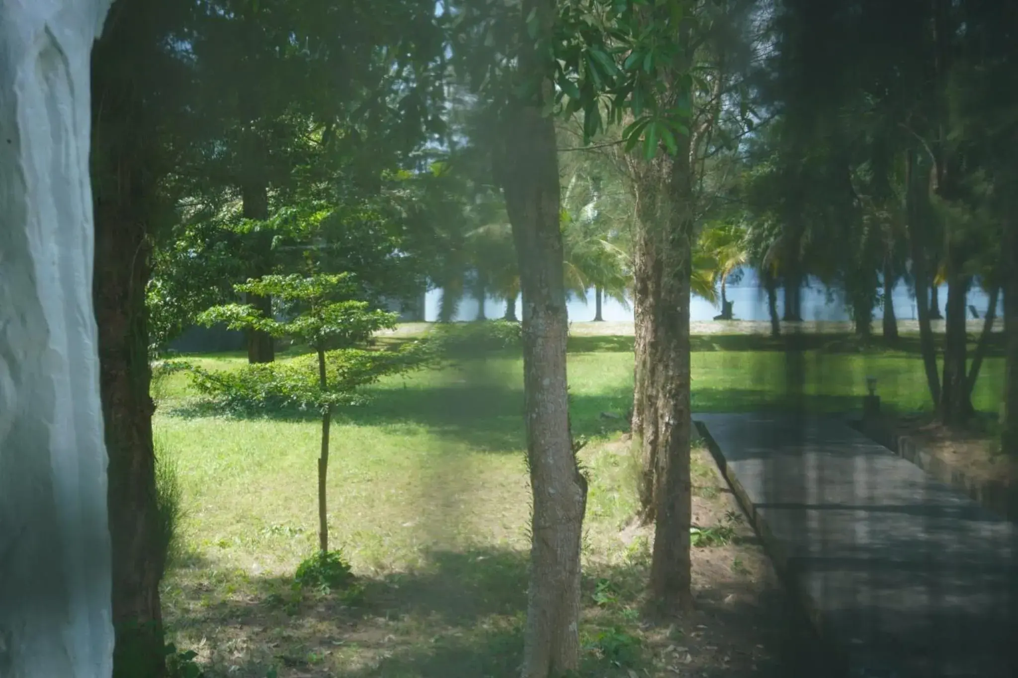 Mrs. Swan Hotel Mrs. Swan Hotel