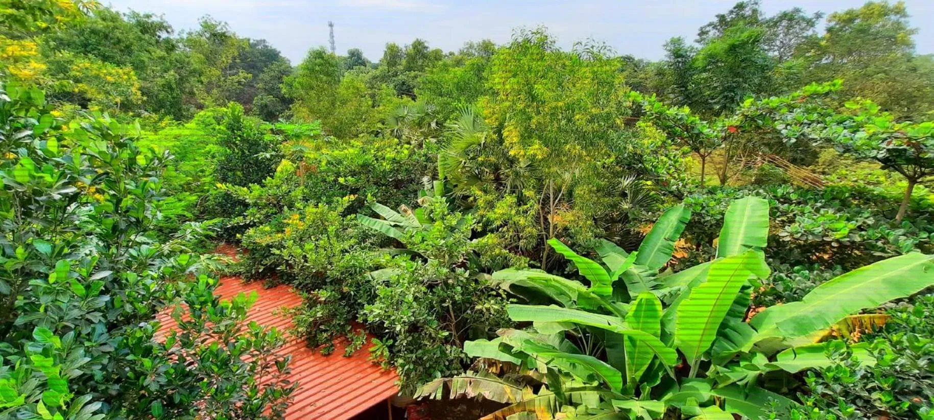 Unearth Hostel (Pondicherry)