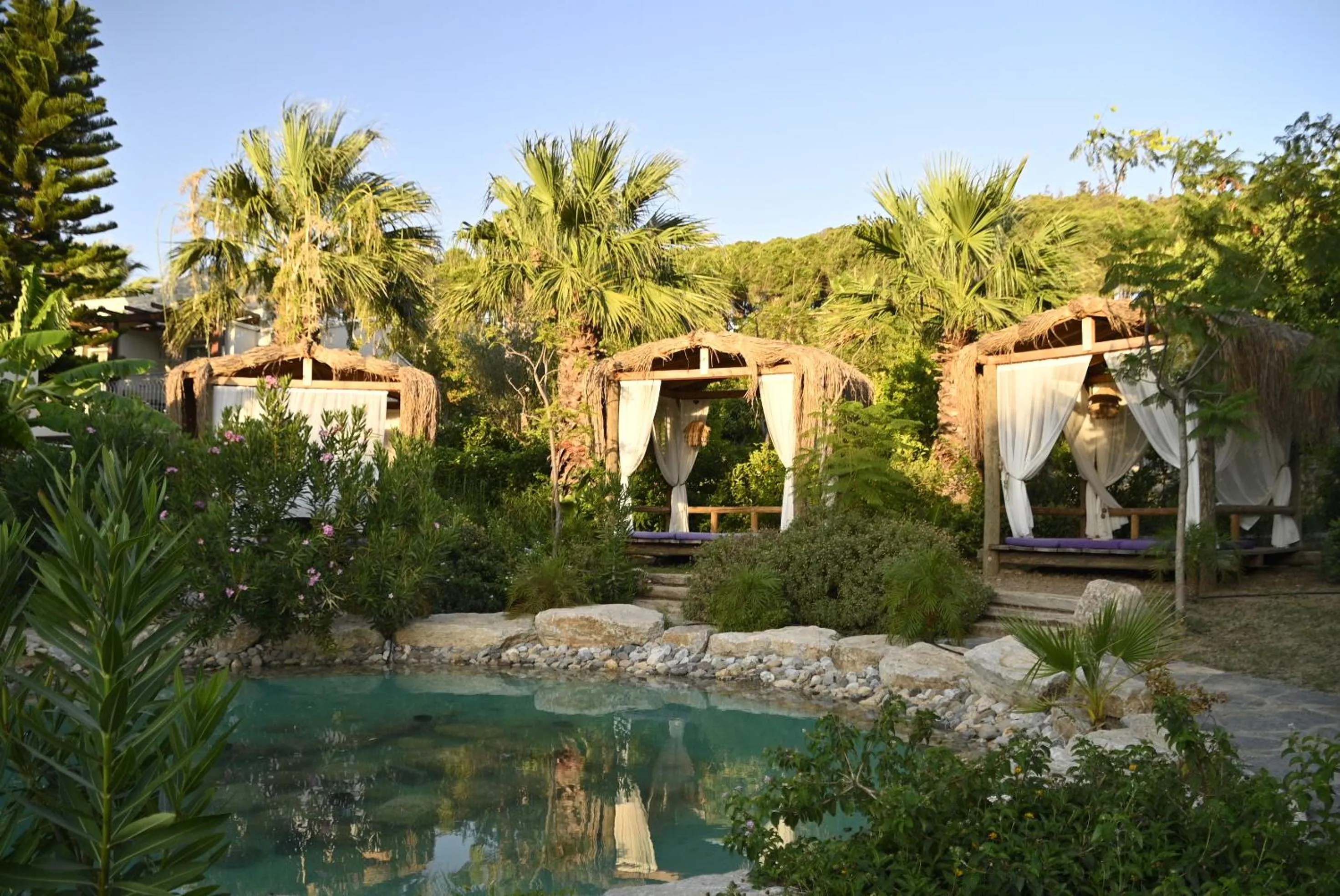 Kairos Valley Wellness & Longevity