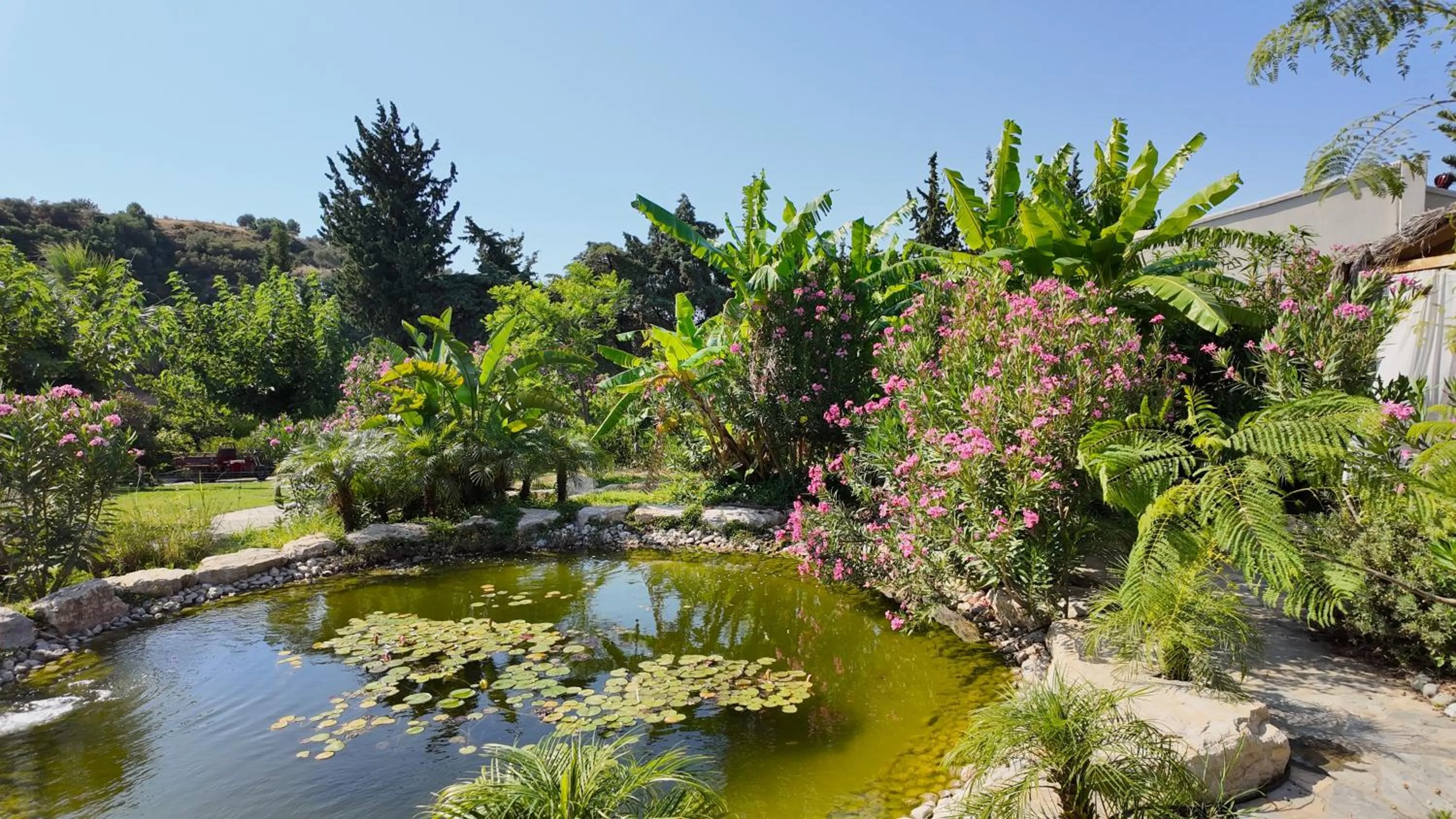 Kairos Valley Wellness & Longevity