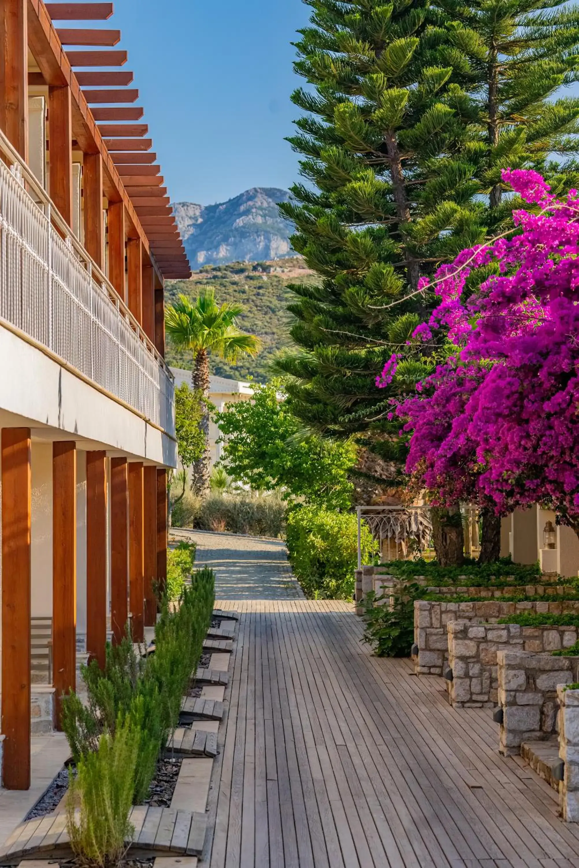 Superior Deluxe Double or Twin Room in Kairos Valley Wellness & Longevity Superior Deluxe Double or Twin Room in Kairos Valley Wellness & Longevity