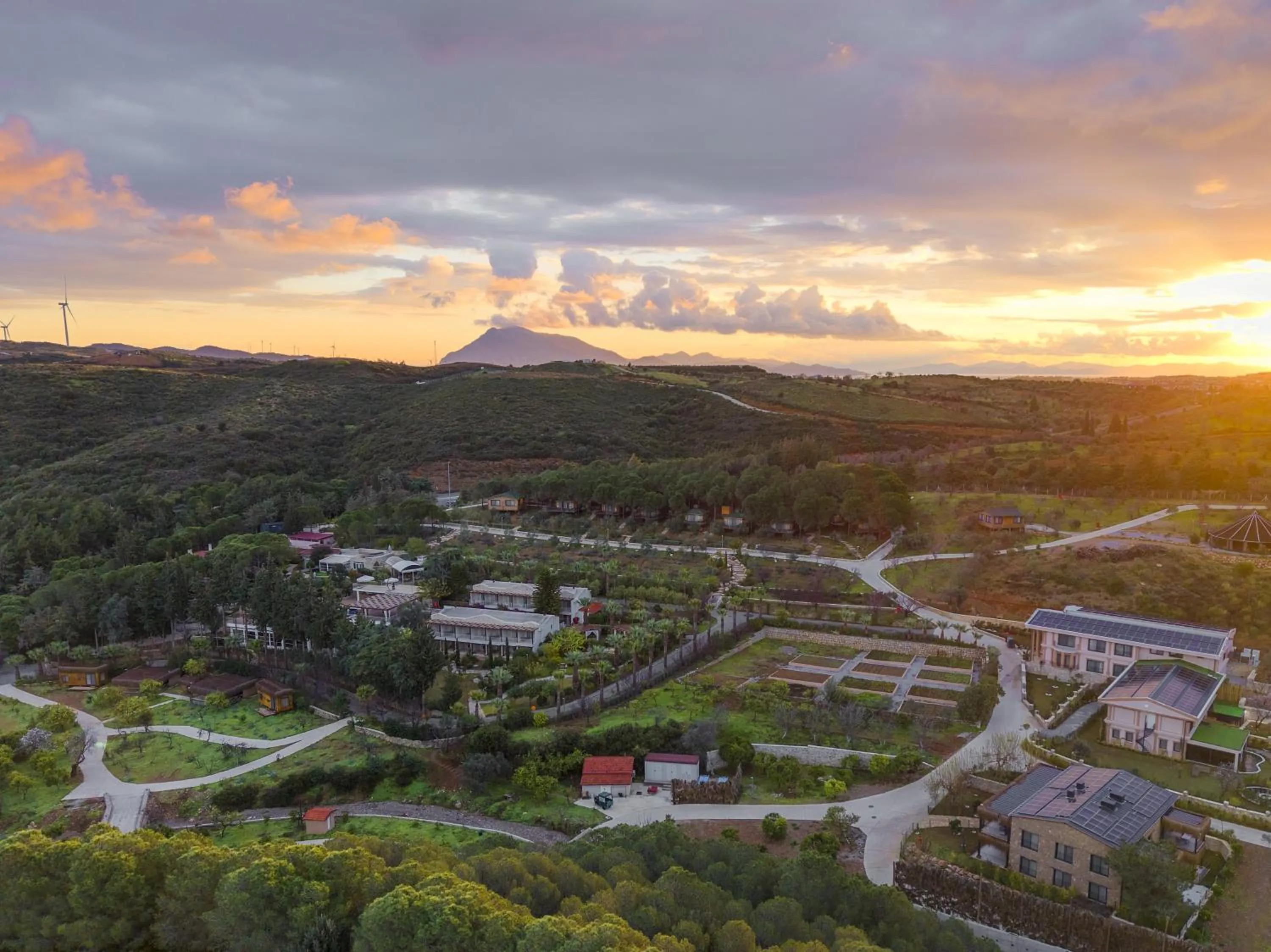 Kairos Valley Wellness & Longevity