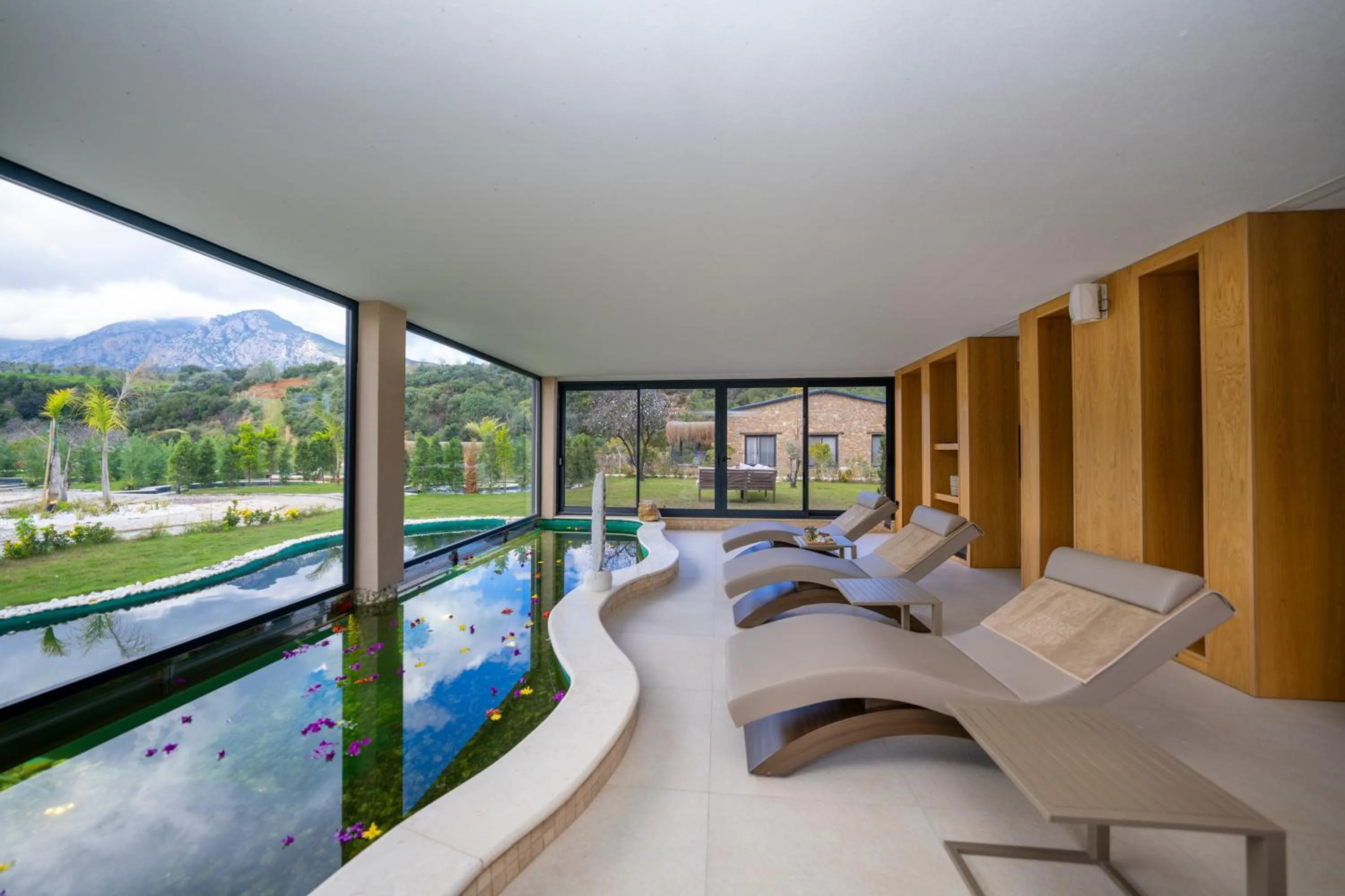 Kairos Valley Wellness & Longevity