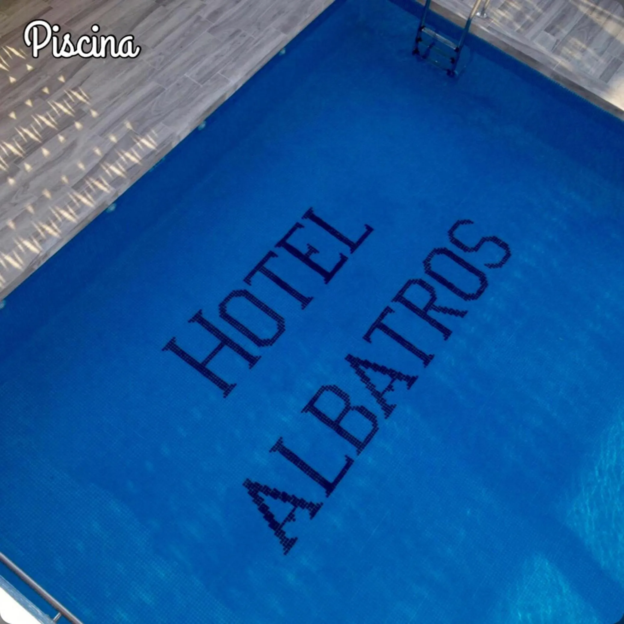 Swimming pool in Hotel Albatros