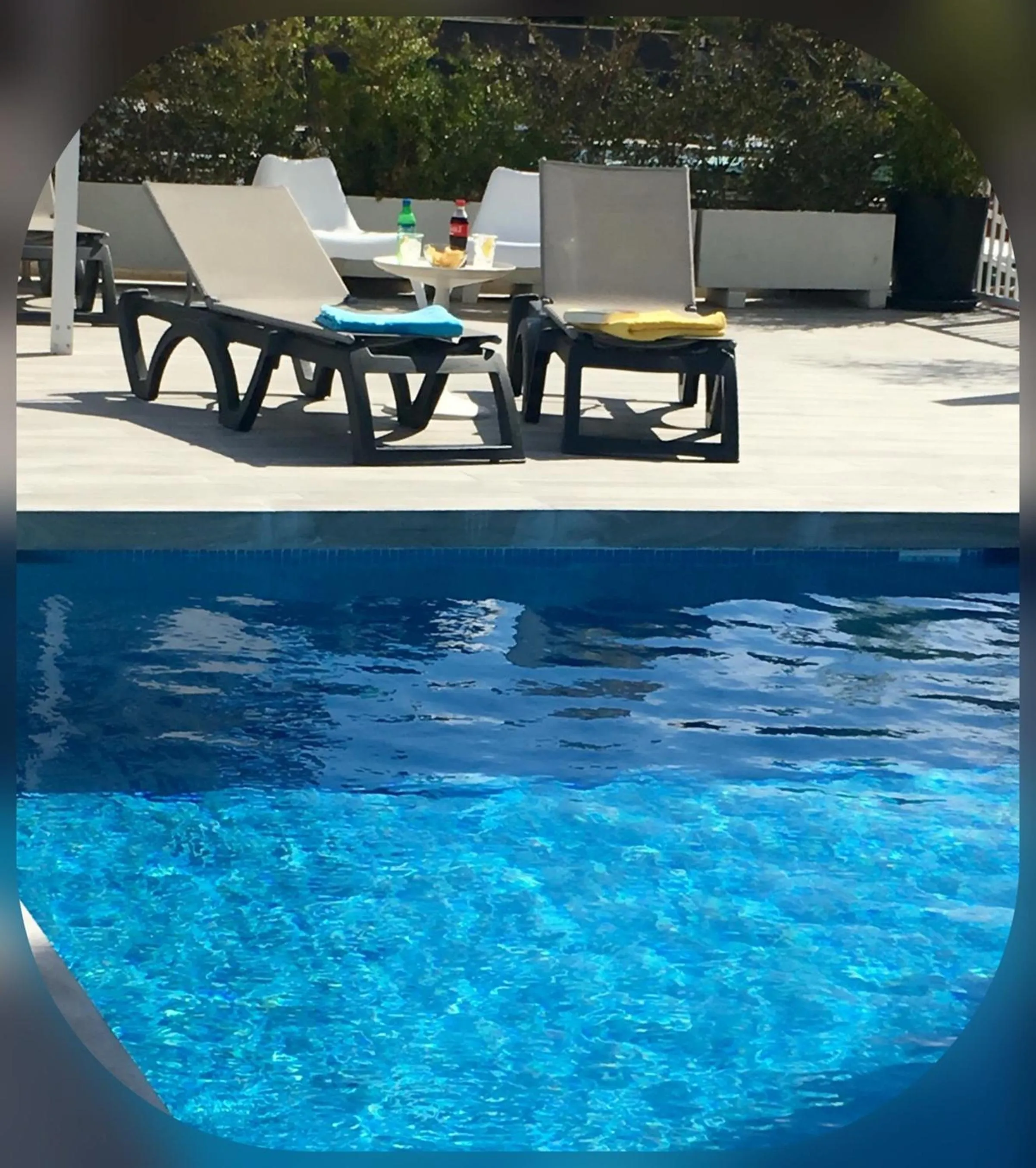 Swimming pool in Hotel Albatros