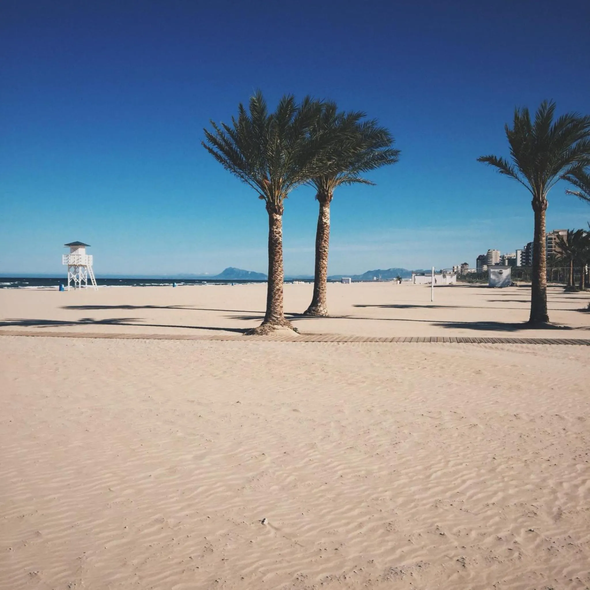 Beach in Hotel Albatros