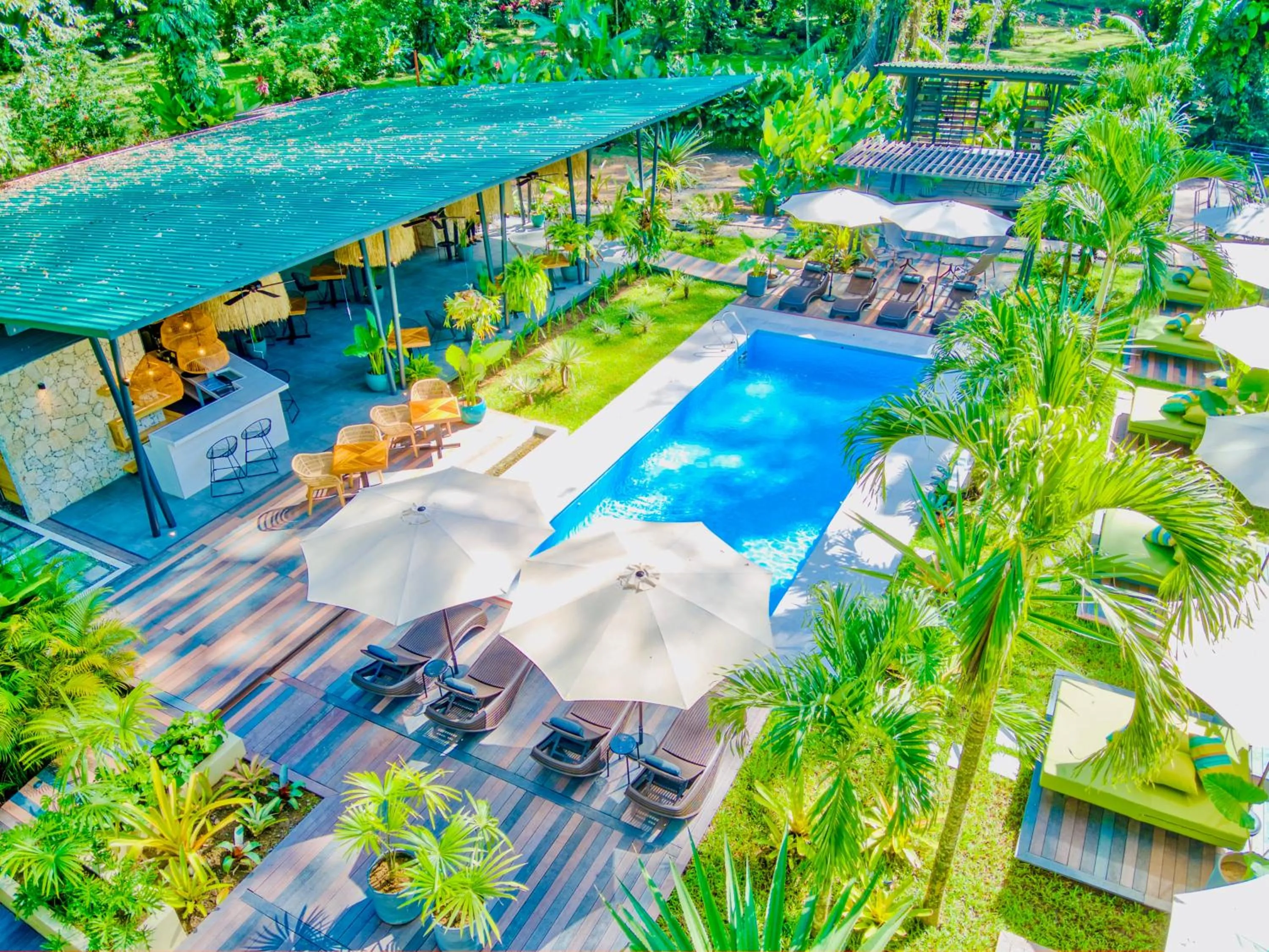 Garden view in Exôtico Beach Hotel