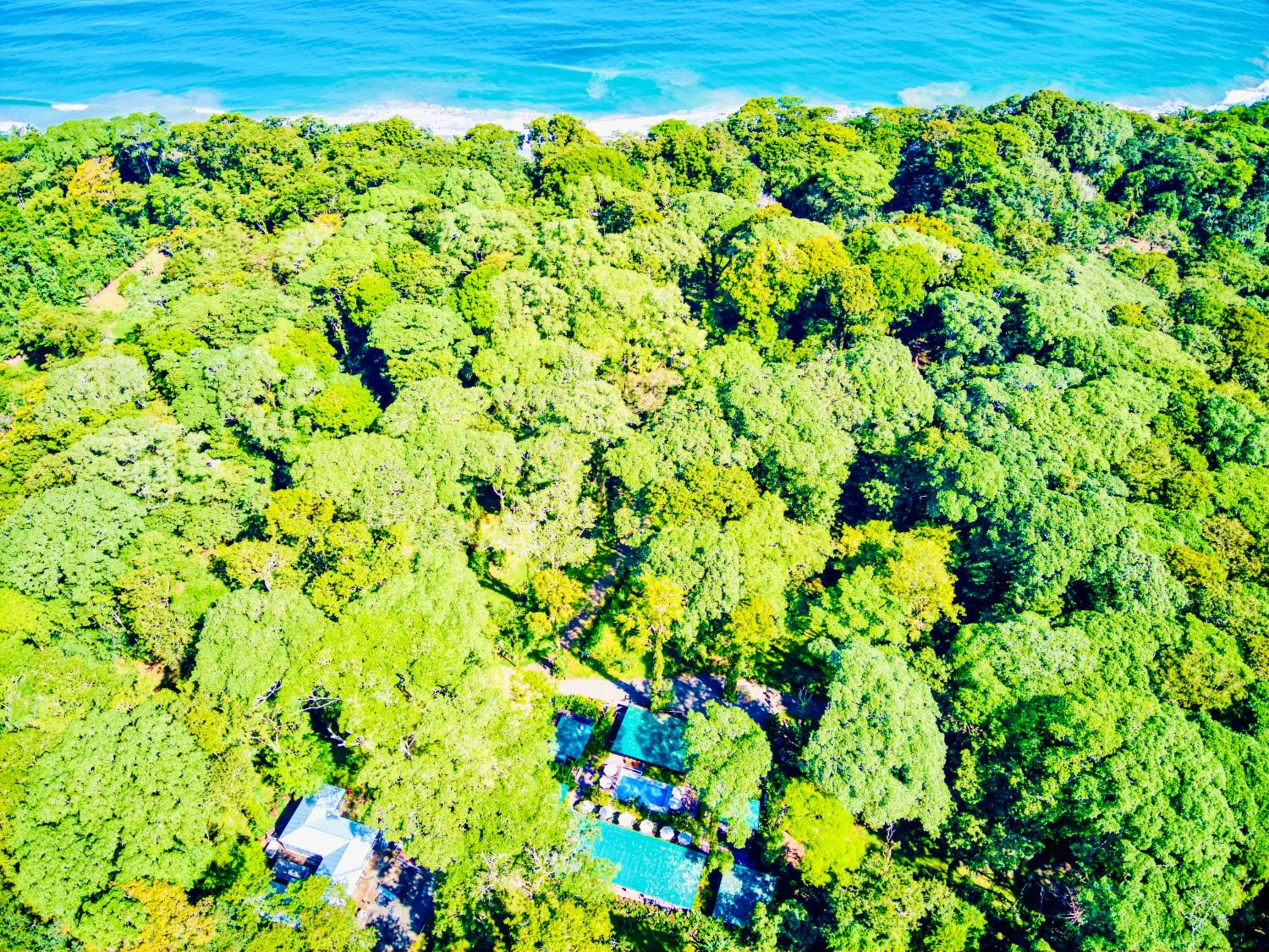 Natural landscape in Exôtico Beach Hotel