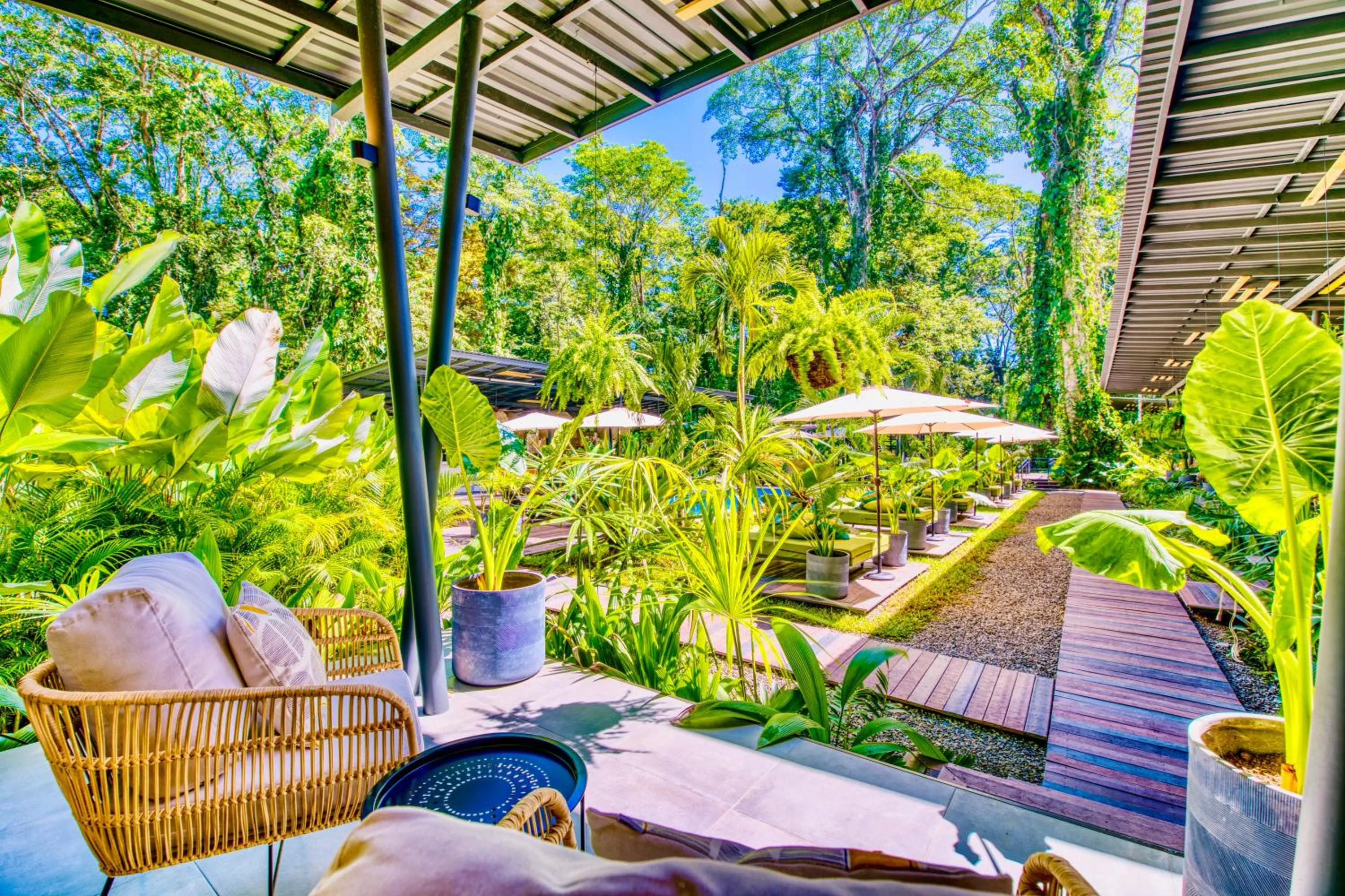 Garden in Exôtico Beach Hotel