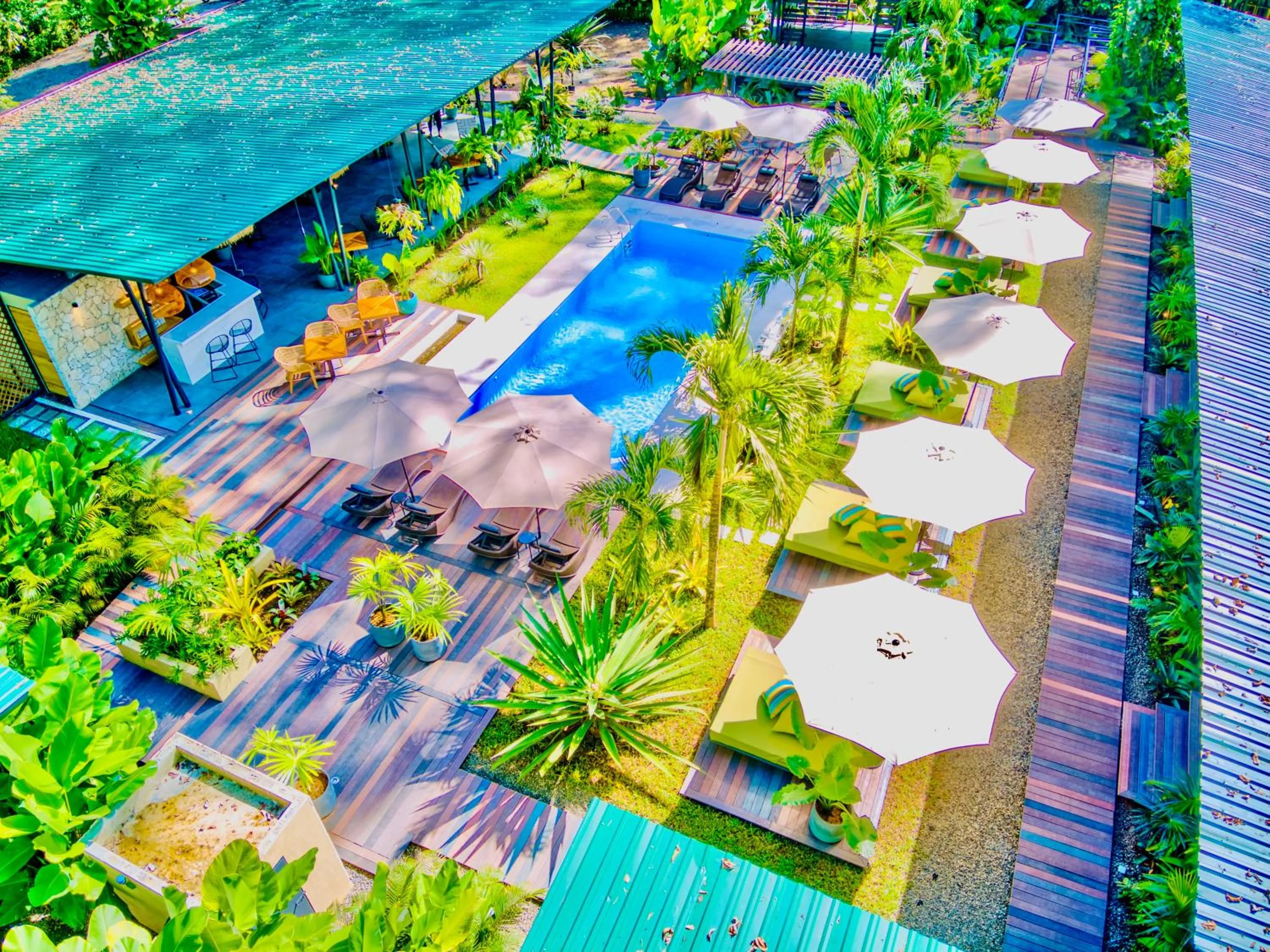 Garden in Exôtico Beach Hotel