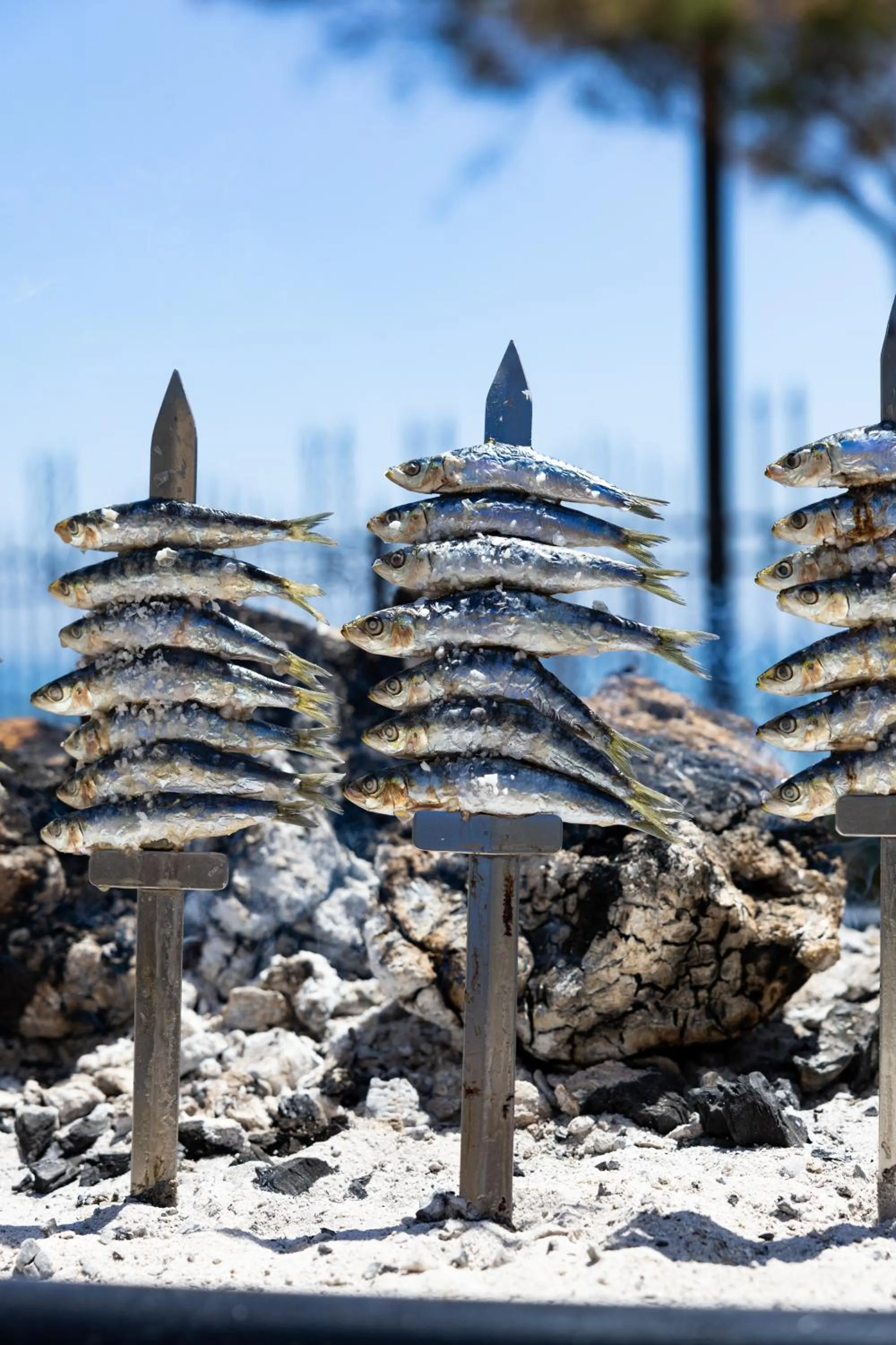 Restaurant/places to eat in Hotel IPV Palace & Spa - Adults Recommended