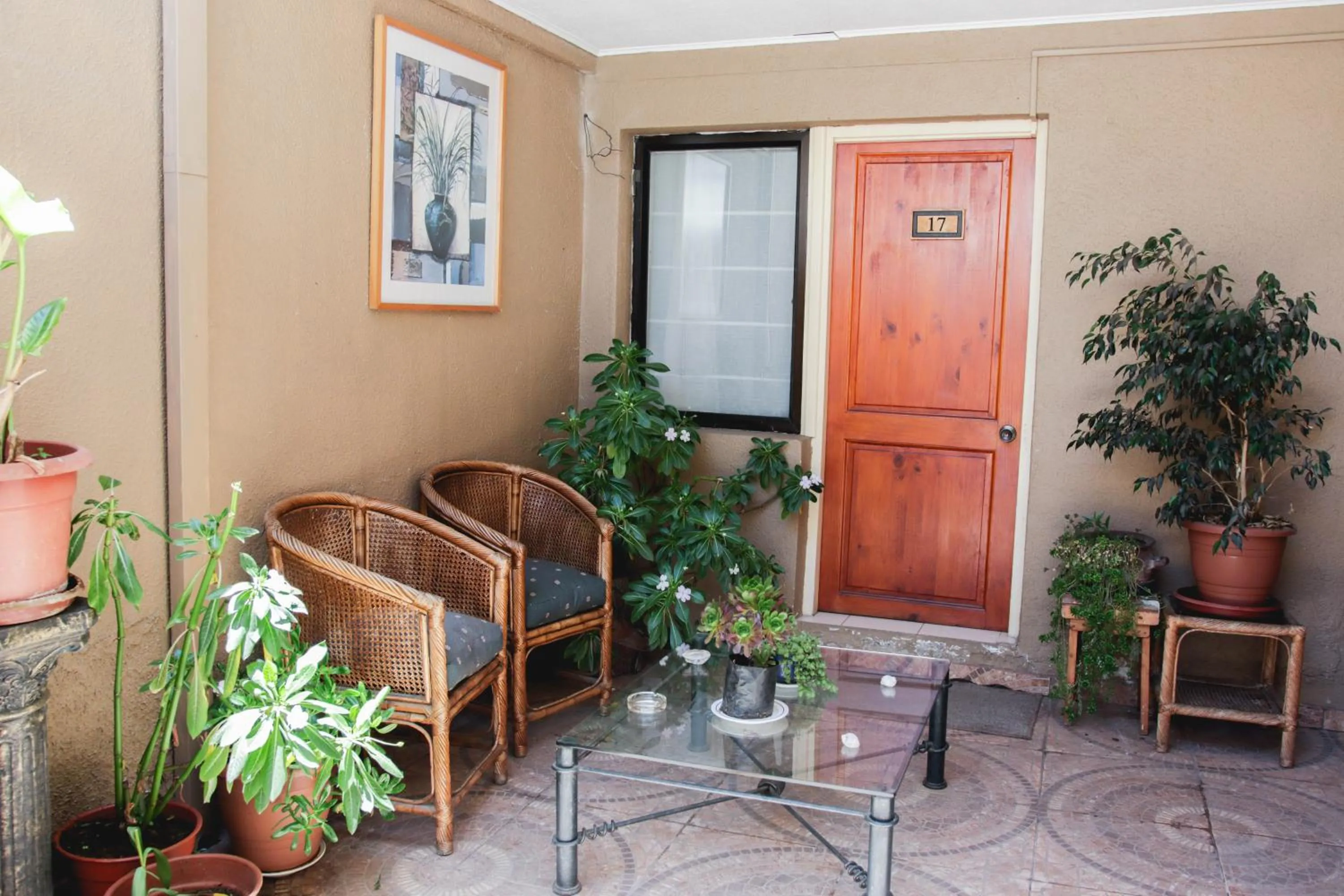Patio in Hotel Rondó