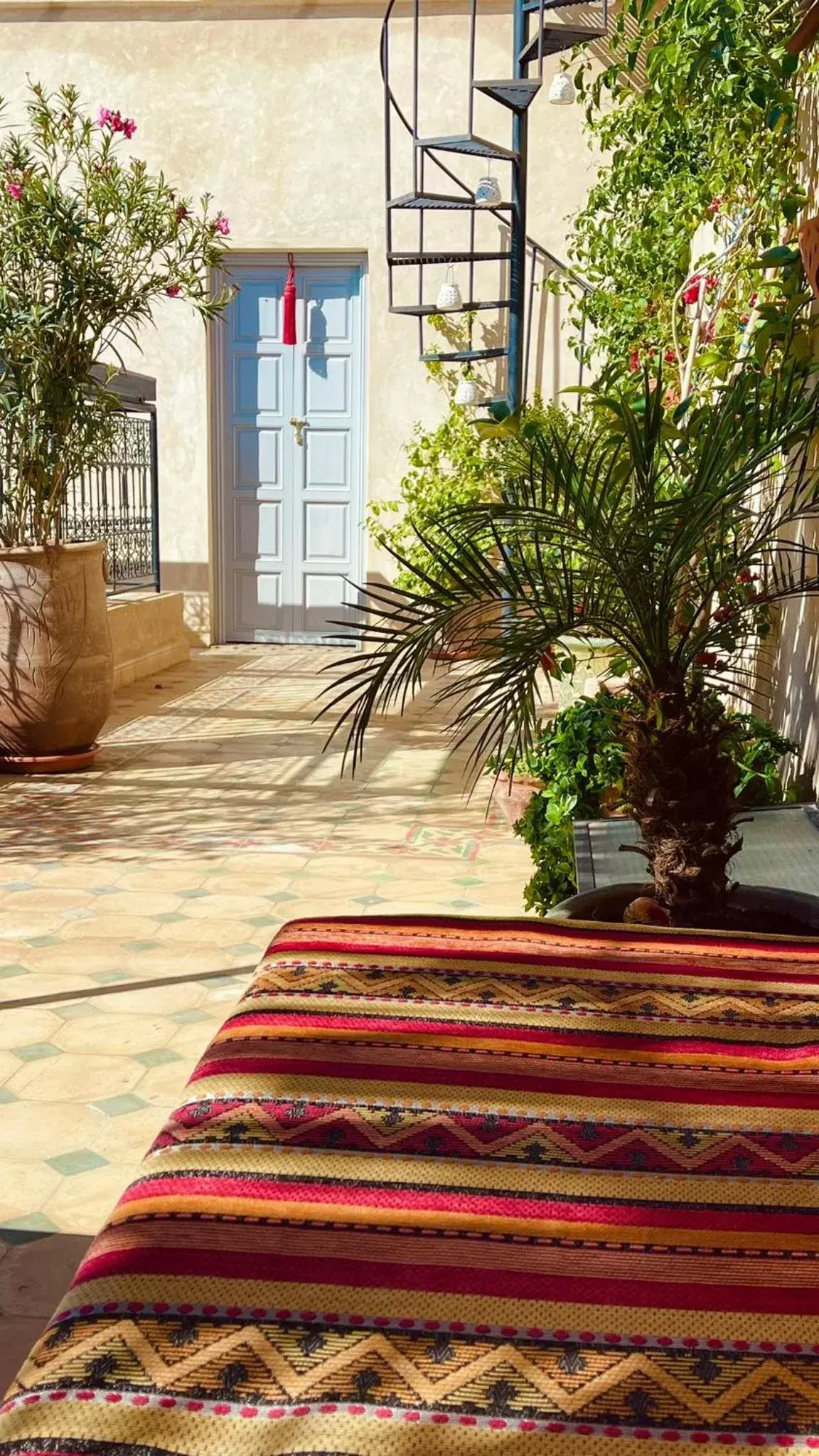 Property building in Riad privatisé Magnolia Property building in Riad privatisé Magnolia