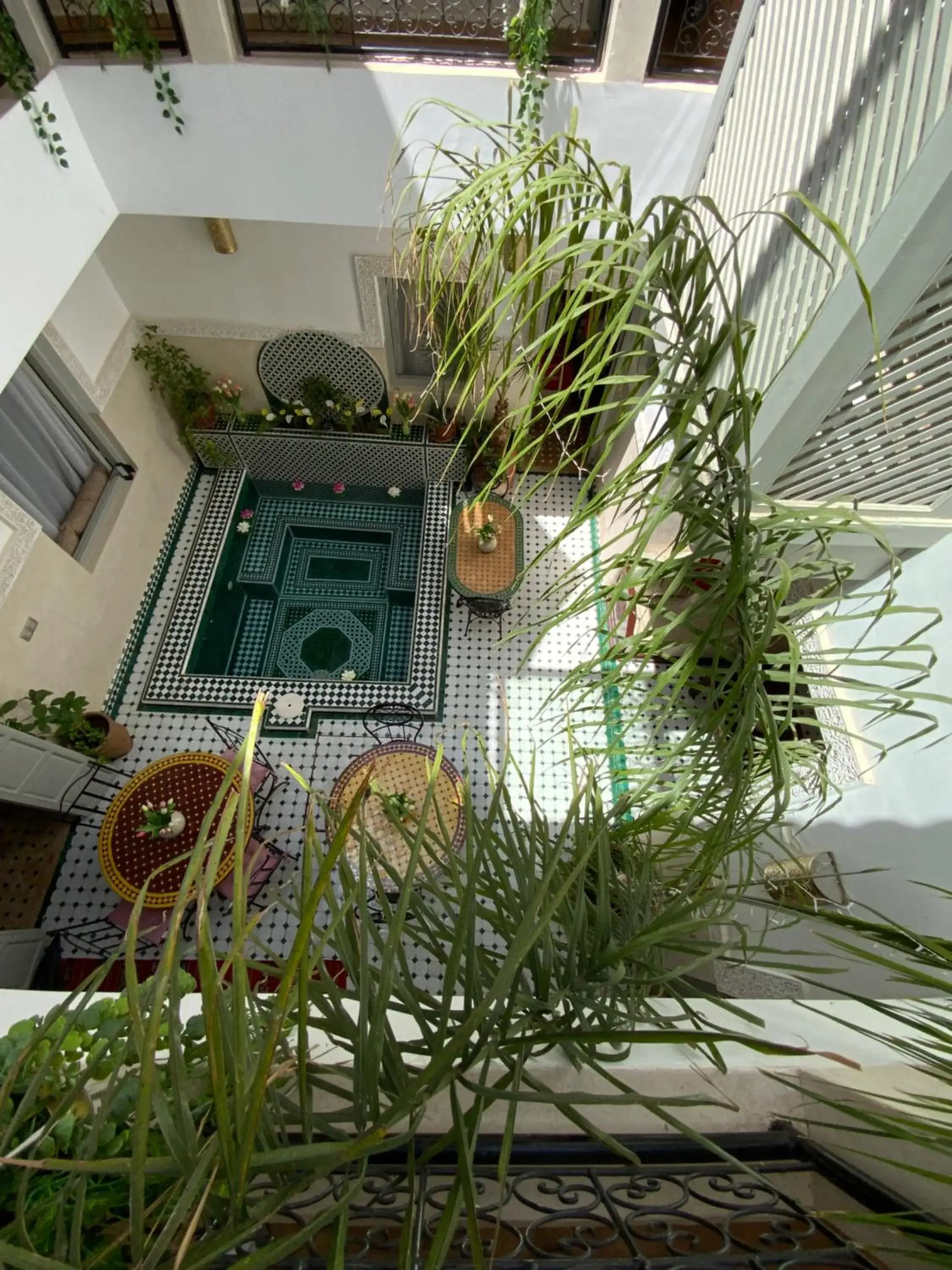 Property building in Riad privatisé Magnolia Property building in Riad privatisé Magnolia