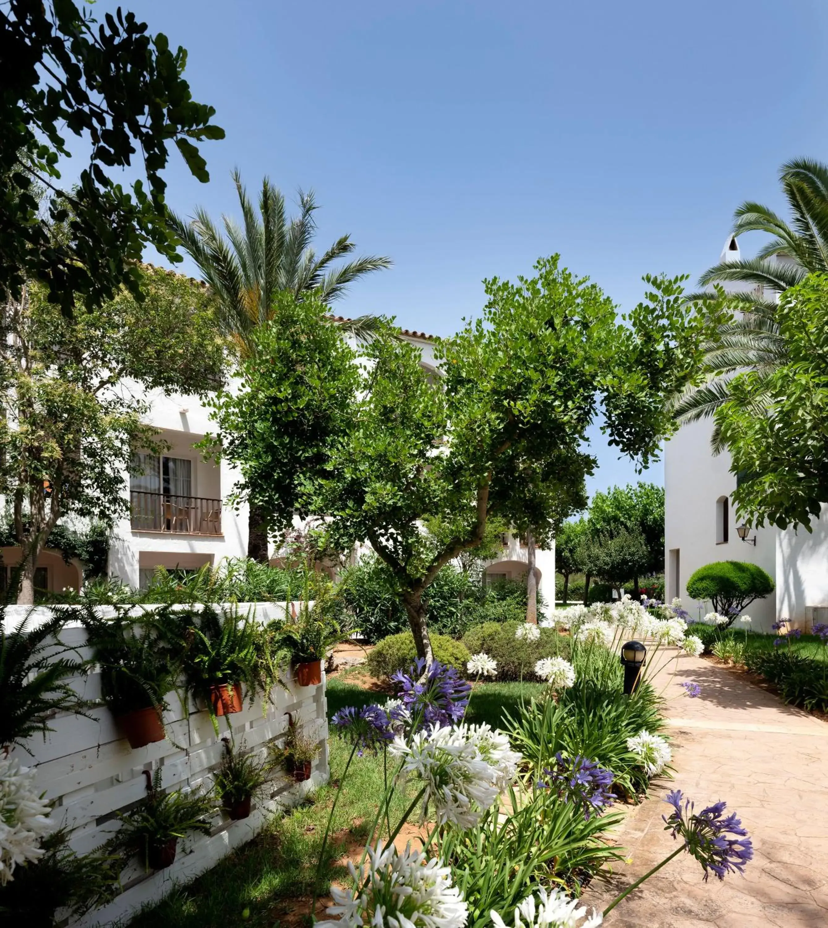 Property building in Sol Falcó Menorca Property building in Sol Falcó Menorca