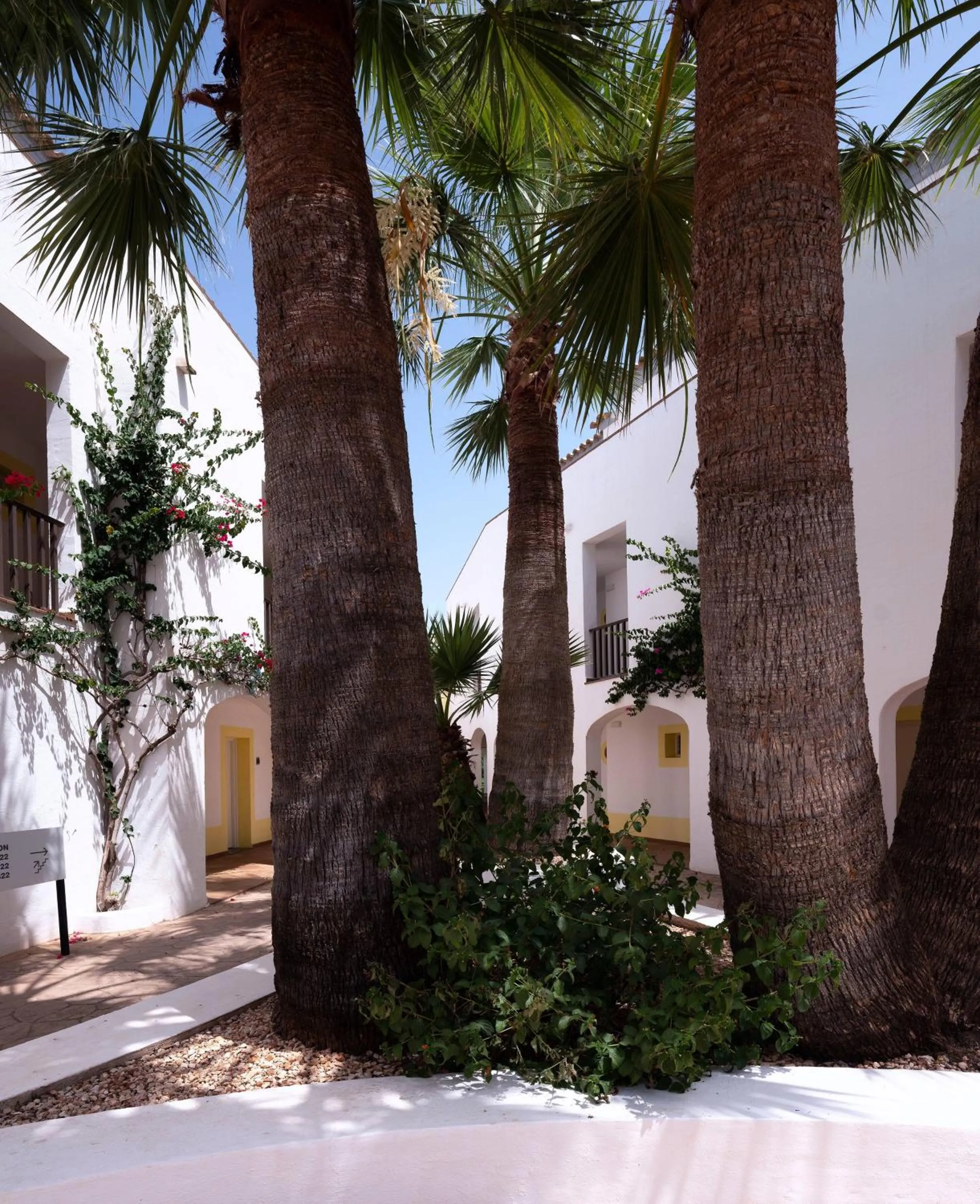 Property building in SOL Falcó Menorca