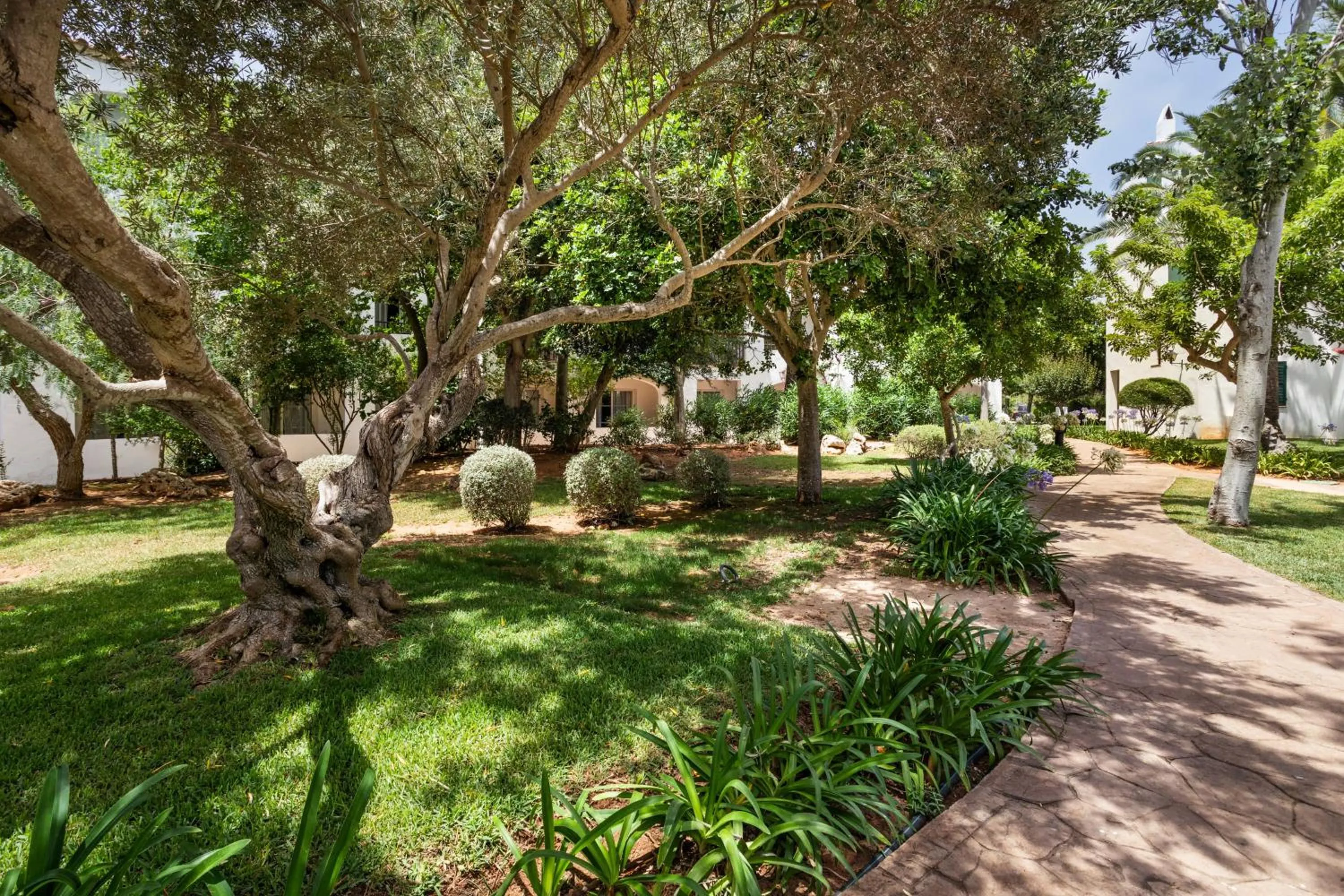 Garden in SOL Falcó Menorca