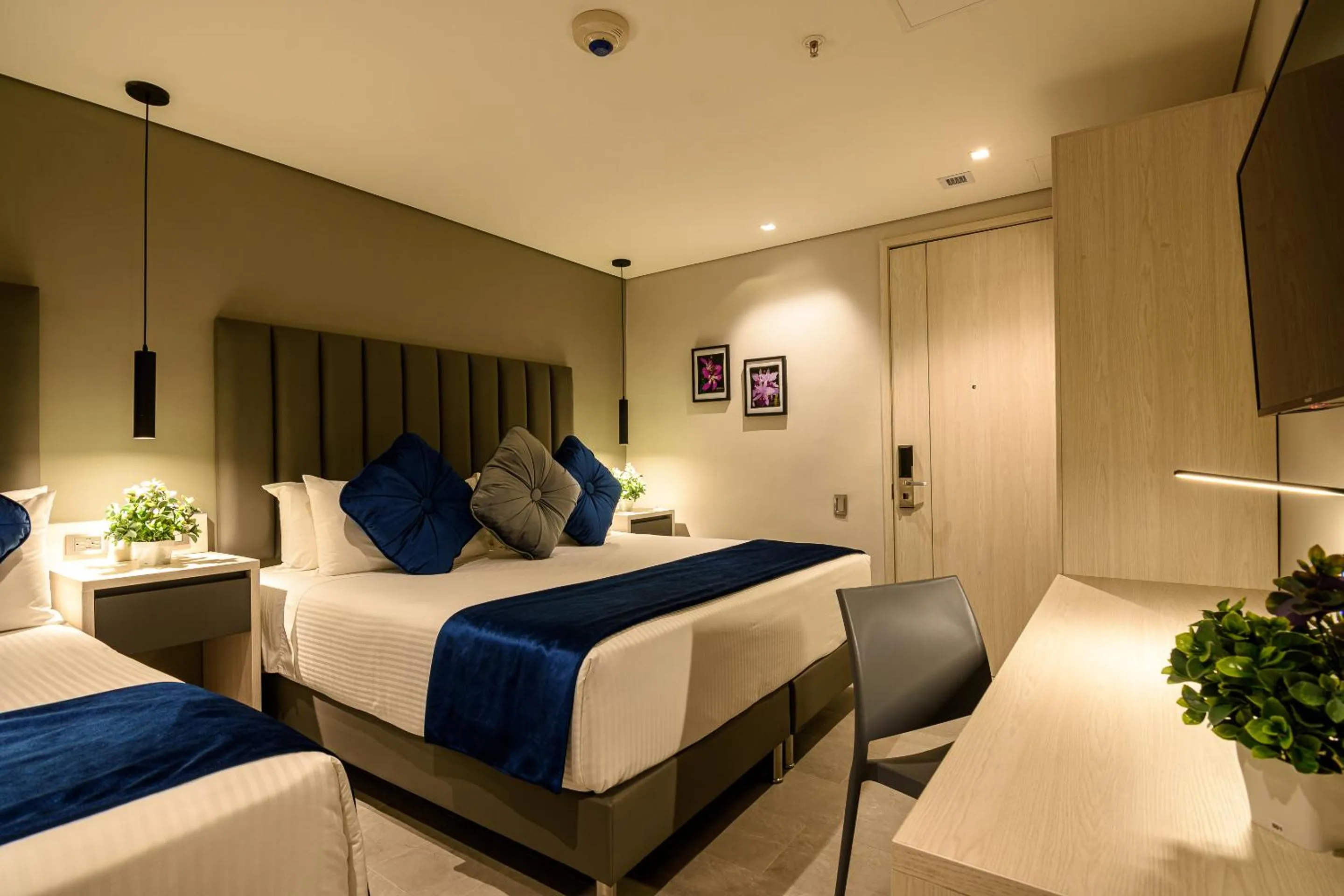 Photo of the whole room, Bed in 4 Sur Hotel