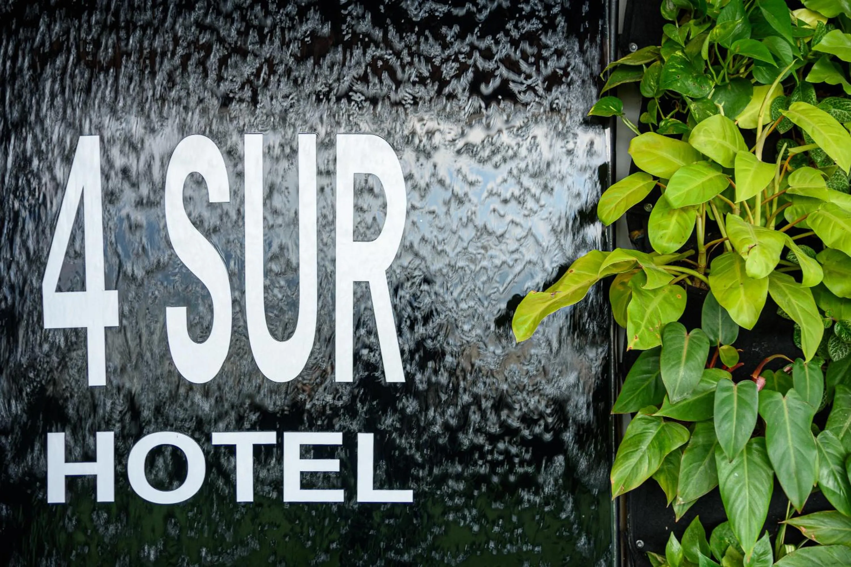 Property logo or sign in 4 Sur Hotel