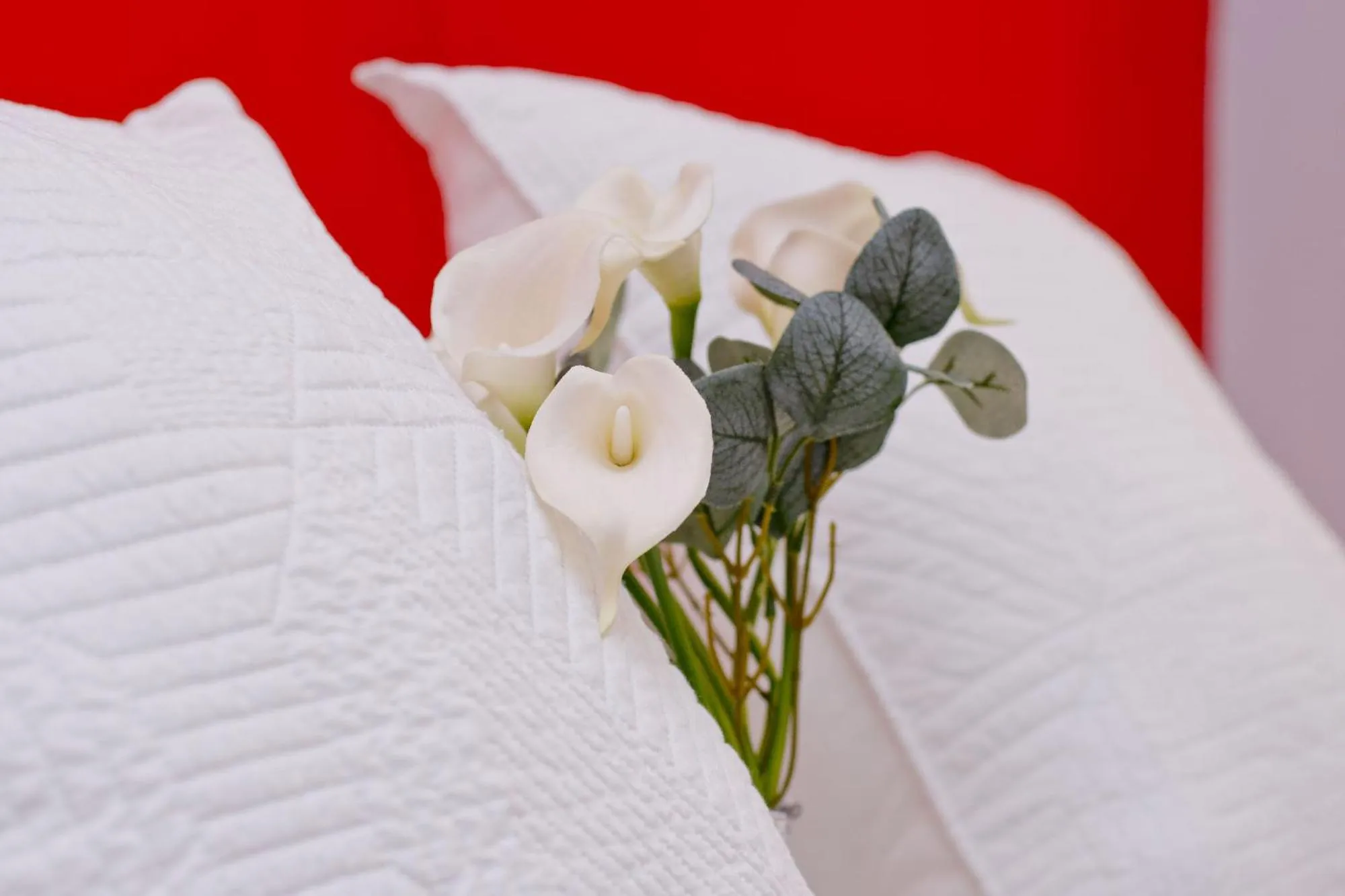 Bed in Barcelona City North Hostal