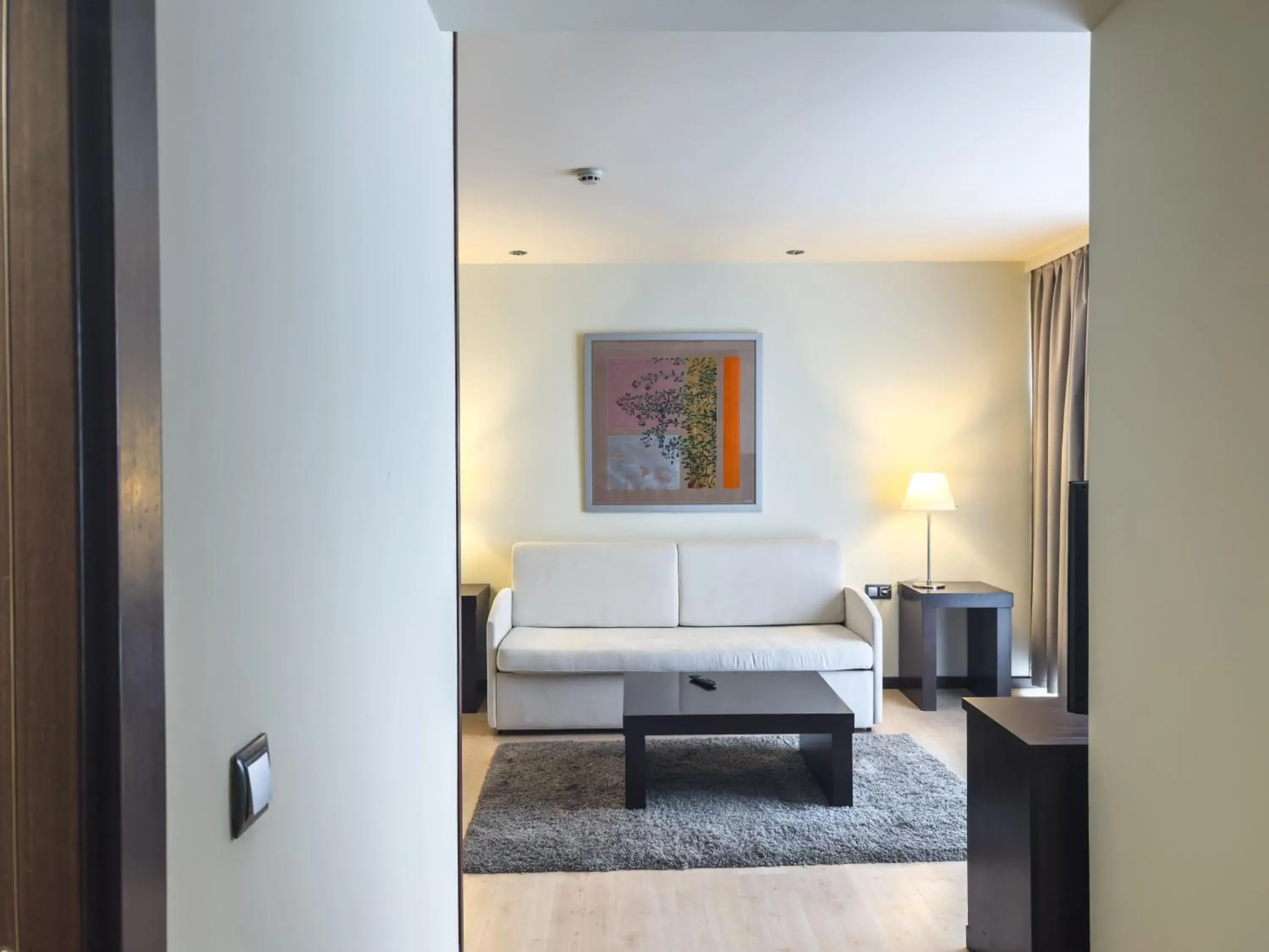 Living room, Bed in Abba Huesca Living room, Bed in Abba Huesca