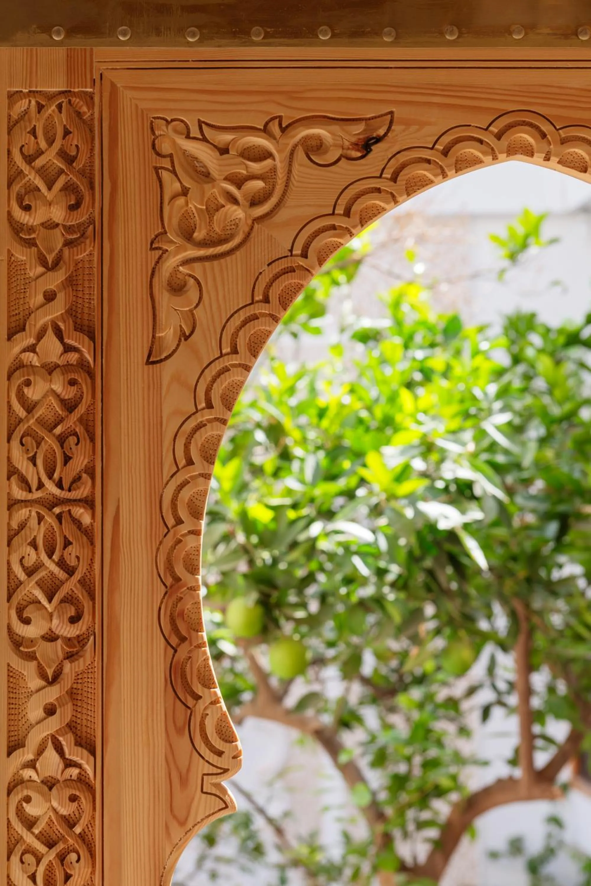 Garden view in Riad Botanica